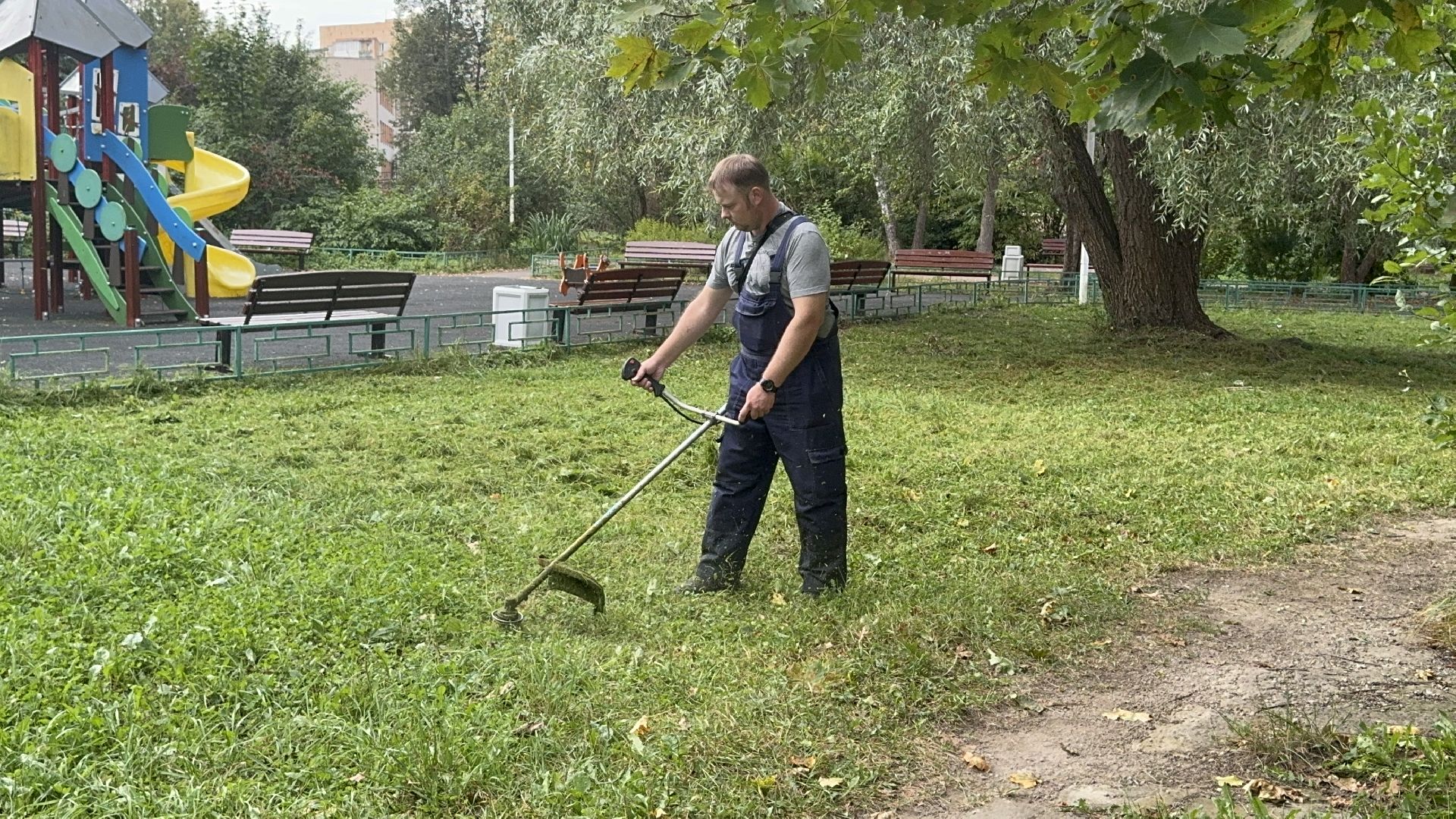 Солнечногорск, Уборка, покос травы, ремонт площадки, Жители,