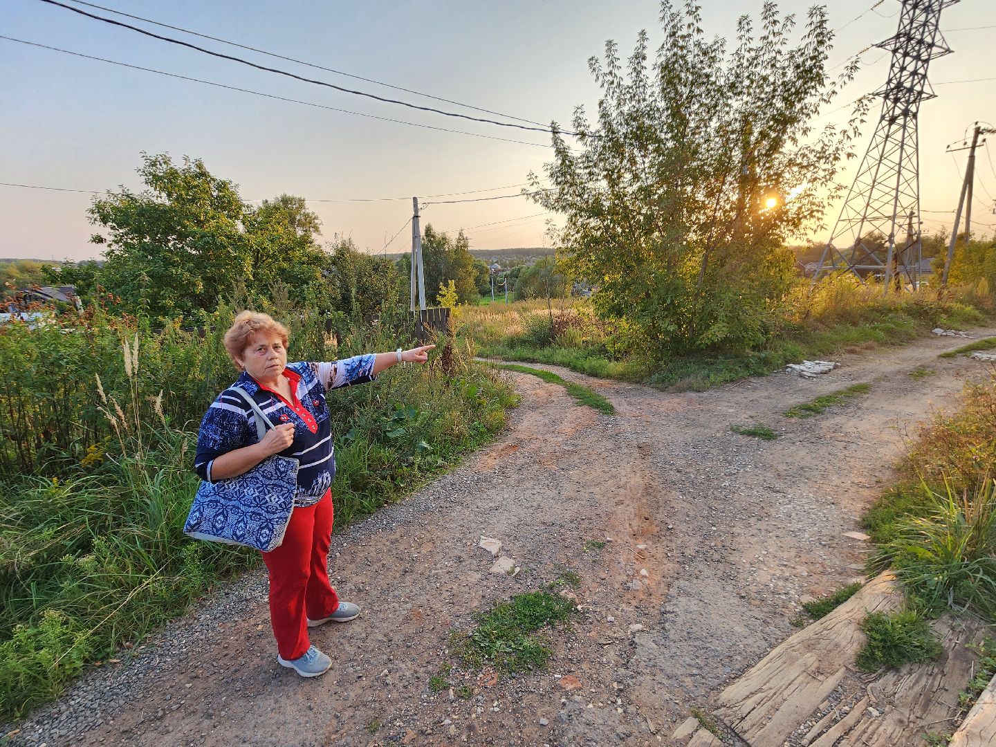 Чехов, деревня Крюково, выездная администрация, встреча с жителями, обращения жителей, дорожный ремонт, освещение, благоустройство, улица Заводская, борщевик,