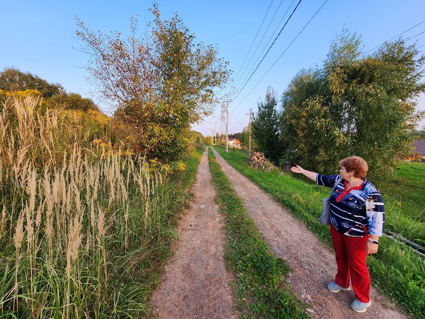 Чехов, деревня Крюково, выездная администрация, встреча с жителями, обращения жителей, дорожный ремонт, освещение, благоустройство, улица Заводская, борщевик,