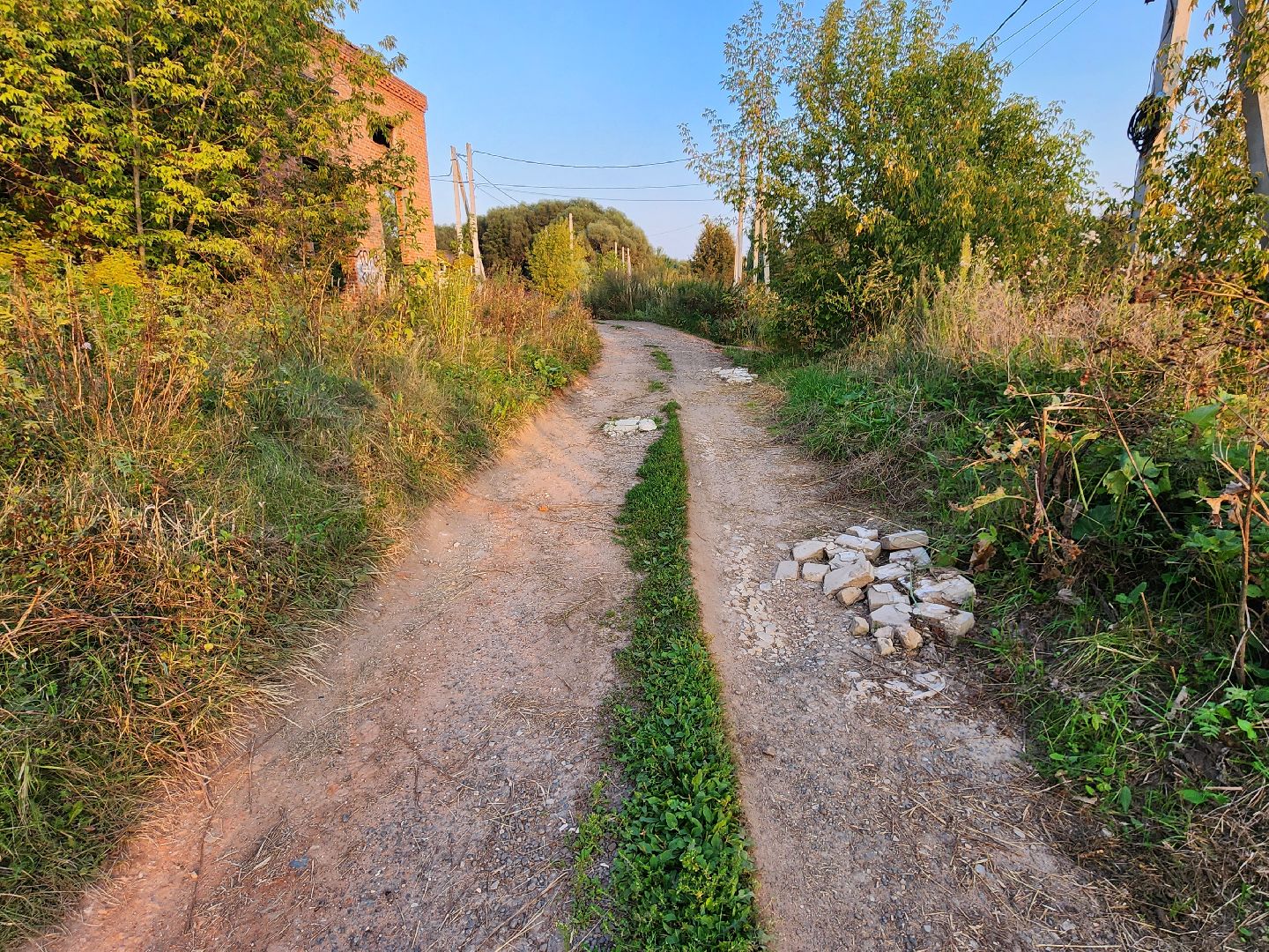 Чехов, деревня Крюково, выездная администрация, встреча с жителями, обращения жителей, дорожный ремонт, освещение, благоустройство, улица Заводская, борщевик,