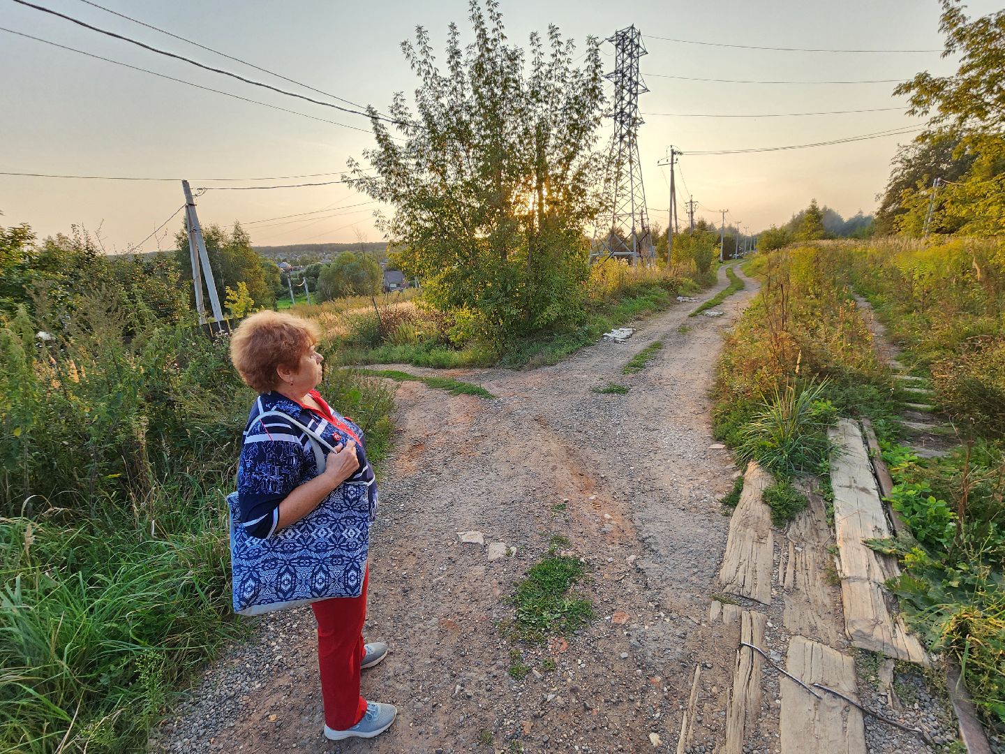 Чехов, деревня Крюково, выездная администрация, встреча с жителями, обращения жителей, дорожный ремонт, освещение, благоустройство, улица Заводская, борщевик,