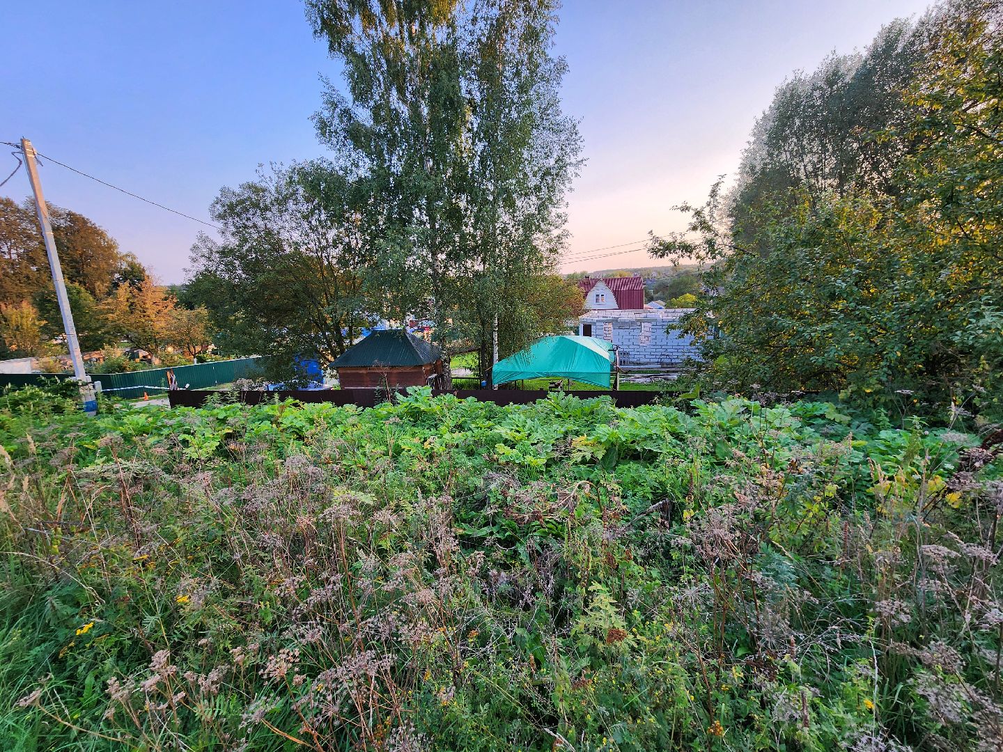 Чехов, деревня Крюково, выездная администрация, встреча с жителями, обращения жителей, дорожный ремонт, освещение, благоустройство, улица Заводская, борщевик,