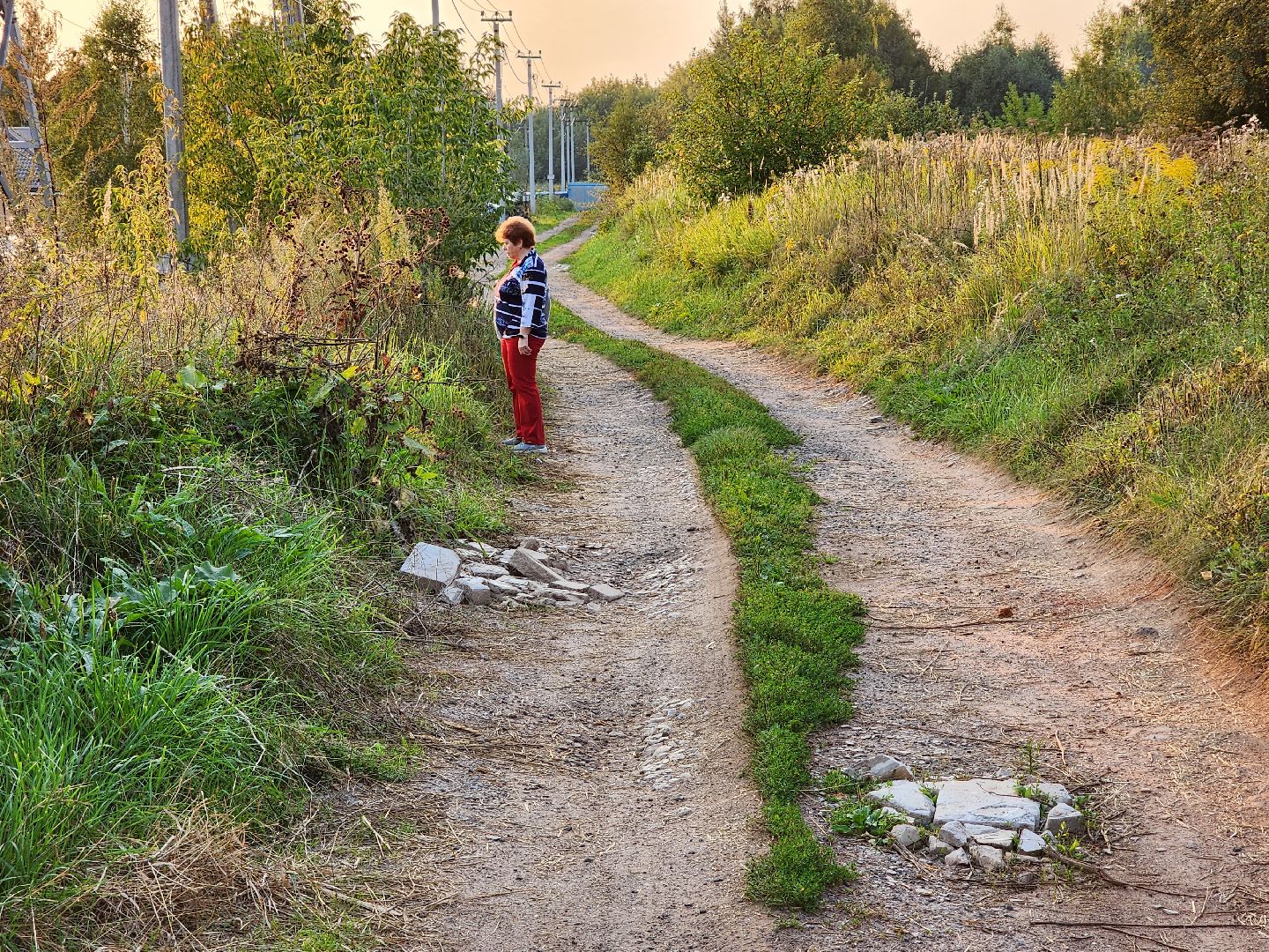 Чехов, деревня Крюково, выездная администрация, встреча с жителями, обращения жителей, дорожный ремонт, освещение, благоустройство, улица Заводская, борщевик,