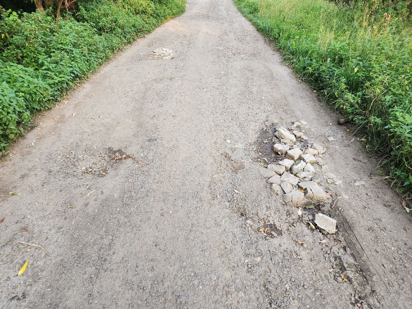 Чехов, деревня Крюково, выездная администрация, встреча с жителями, обращения жителей, дорожный ремонт, освещение, благоустройство, улица Заводская, борщевик,
