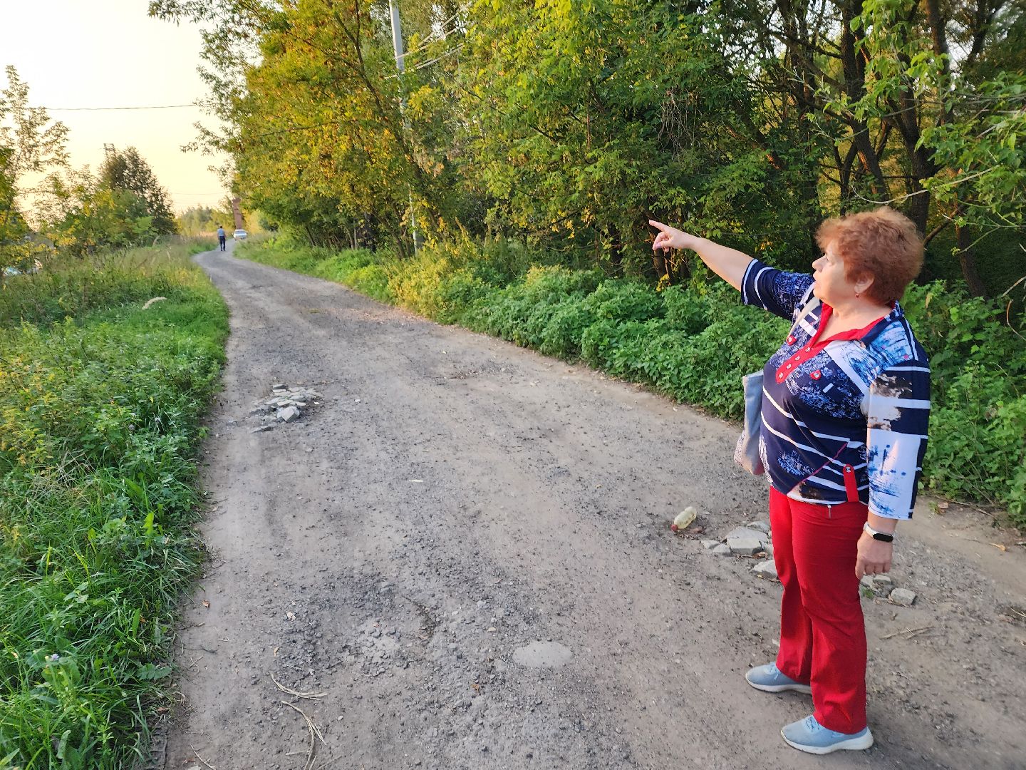 Чехов, деревня Крюково, выездная администрация, встреча с жителями, обращения жителей, дорожный ремонт, освещение, благоустройство, улица Заводская, борщевик,