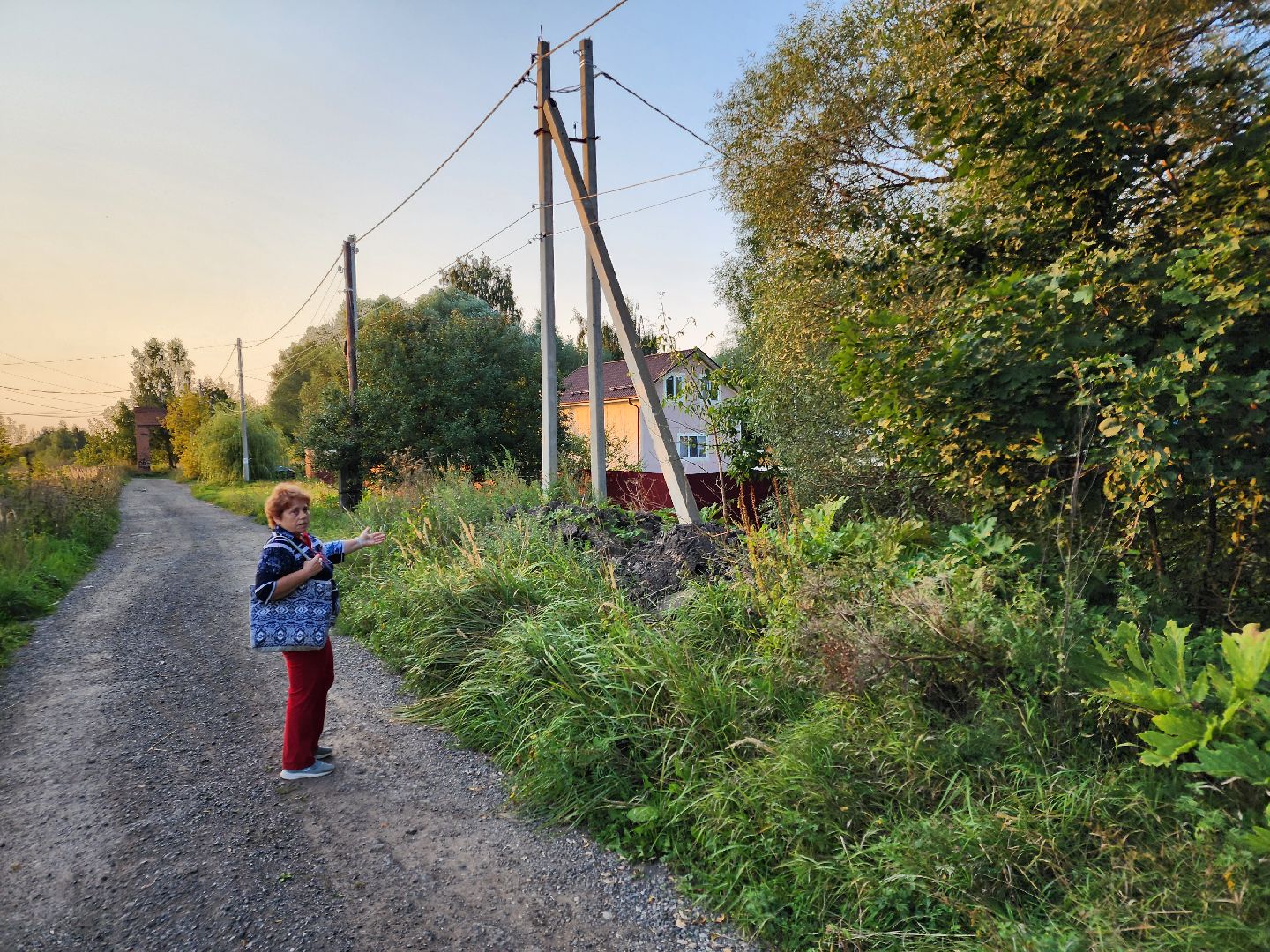 Чехов, деревня Крюково, выездная администрация, встреча с жителями, обращения жителей, дорожный ремонт, освещение, благоустройство, улица Заводская, борщевик,