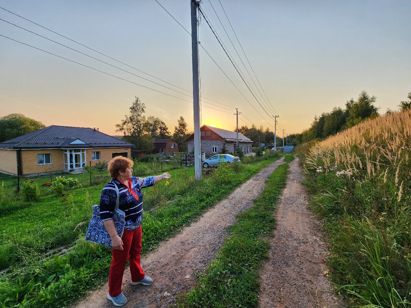 Чехов, деревня Крюково, выездная администрация, встреча с жителями, обращения жителей, дорожный ремонт, освещение, благоустройство, улица Заводская, борщевик,