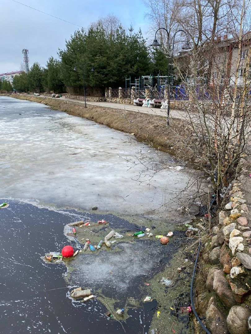 Шаховская, уборка, мусор,