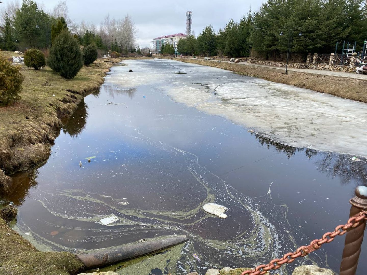 Шаховская, уборка, мусор,