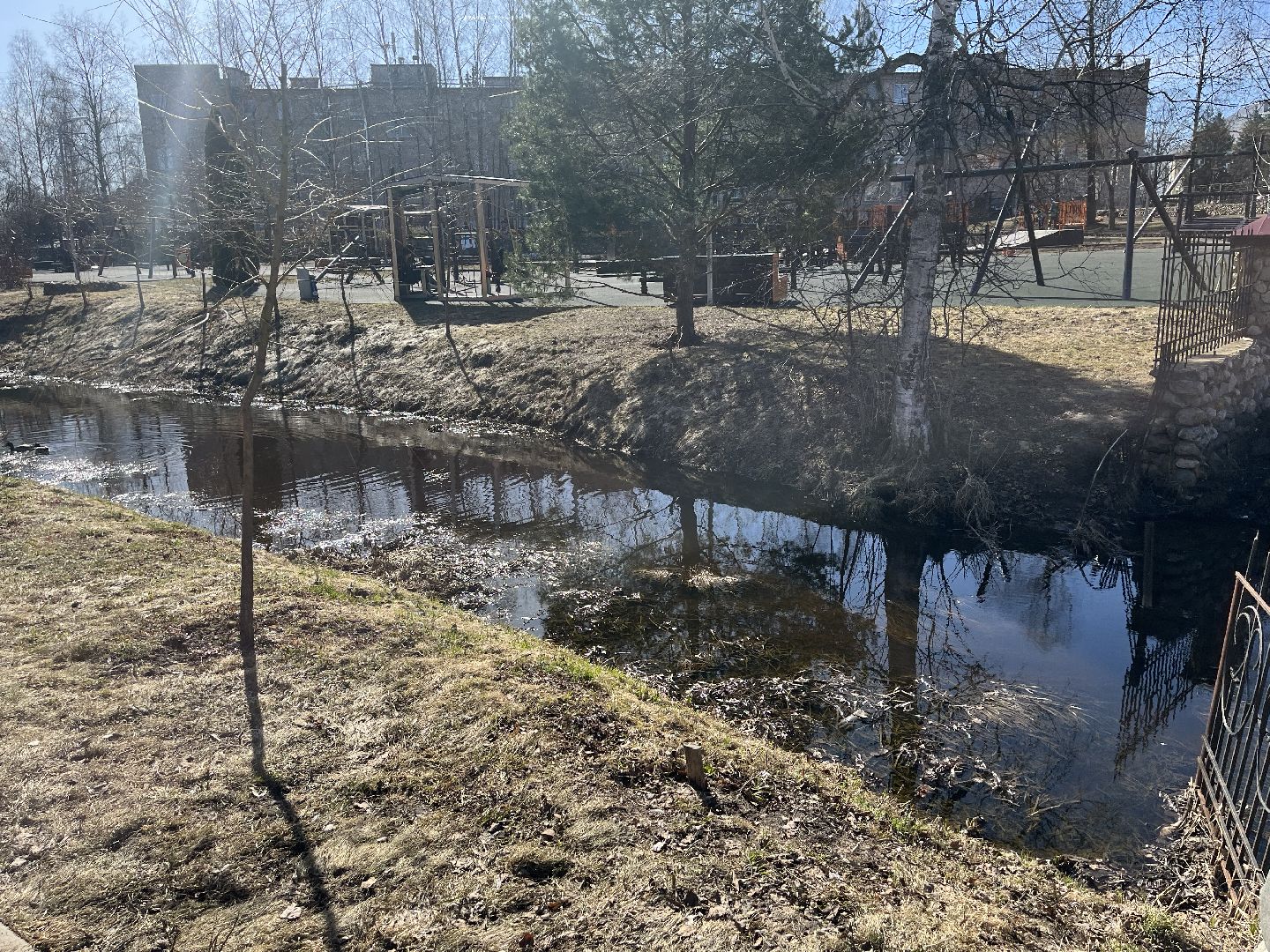 Шаховская, уборка, мусор,