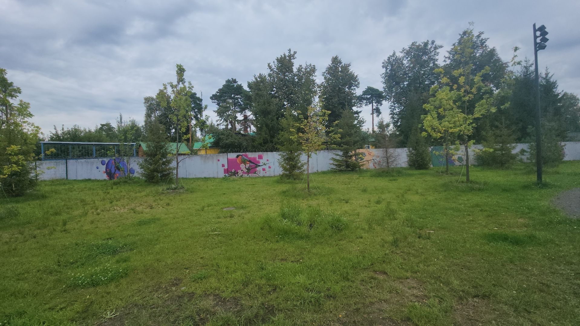 Павловский Посад, городской округ павловский посад, парк, парк Дубрава, граффити, забор, благоустройсво,