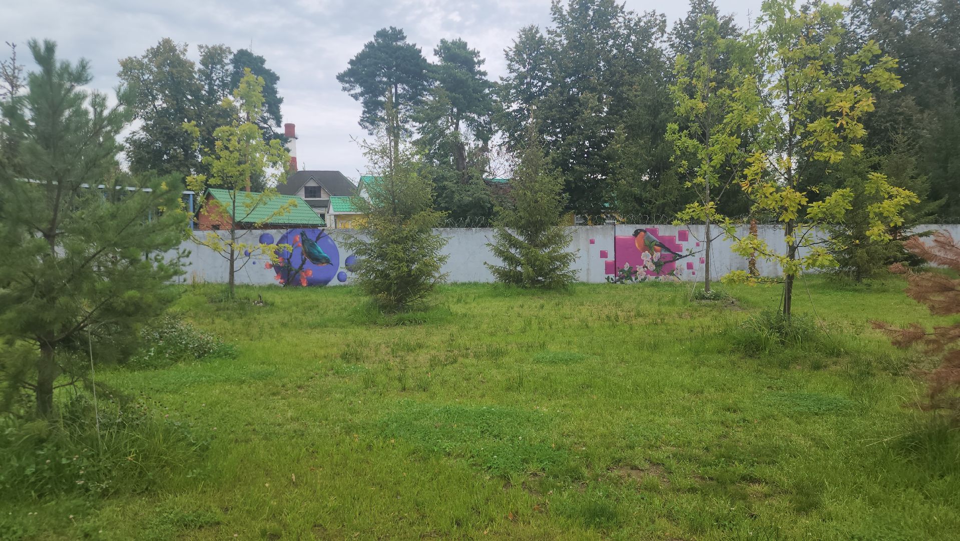 Павловский Посад, городской округ павловский посад, парк, парк Дубрава, граффити, забор, благоустройсво,