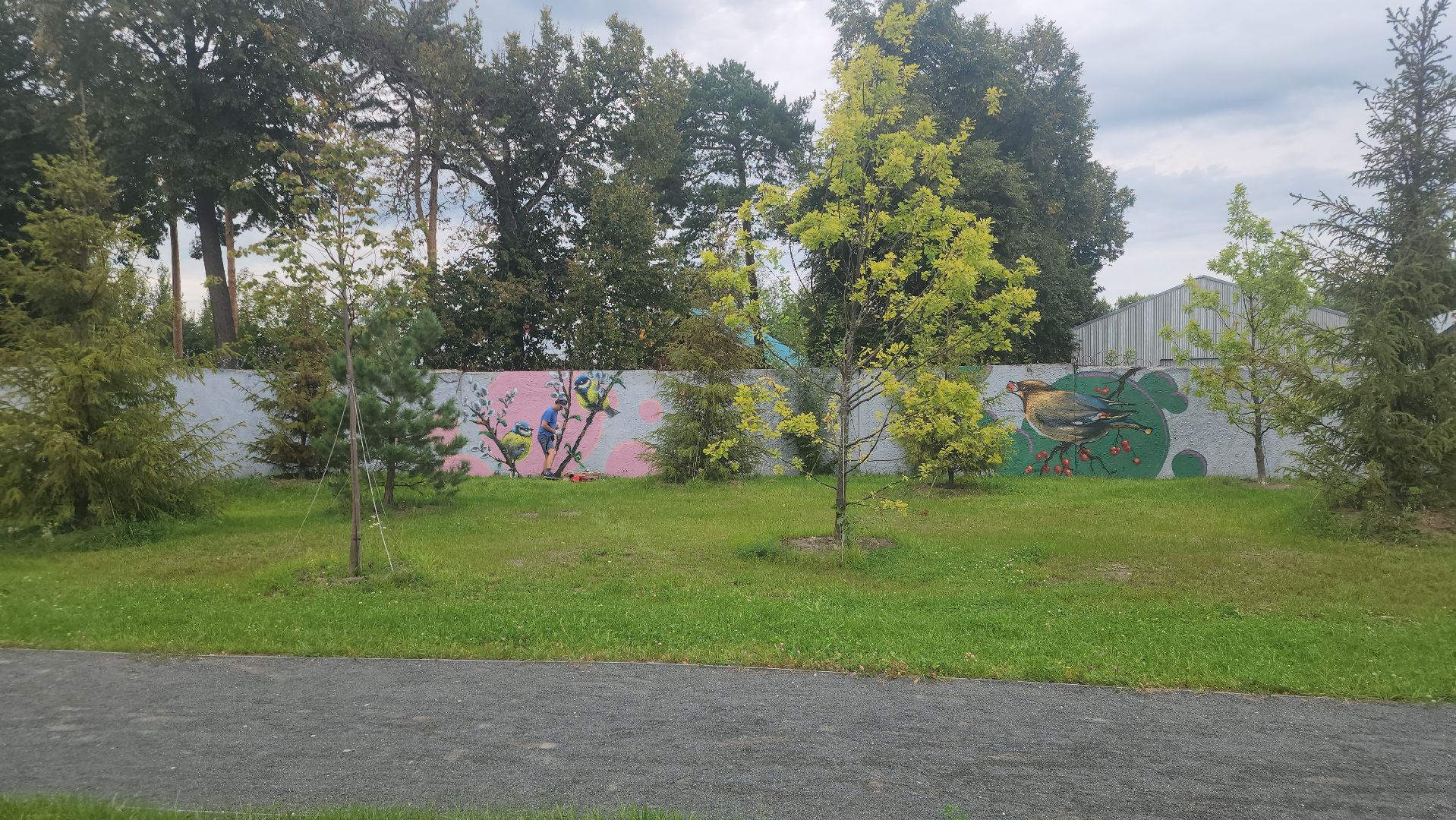 Павловский Посад, городской округ павловский посад, парк, парк Дубрава, граффити, забор, благоустройсво,