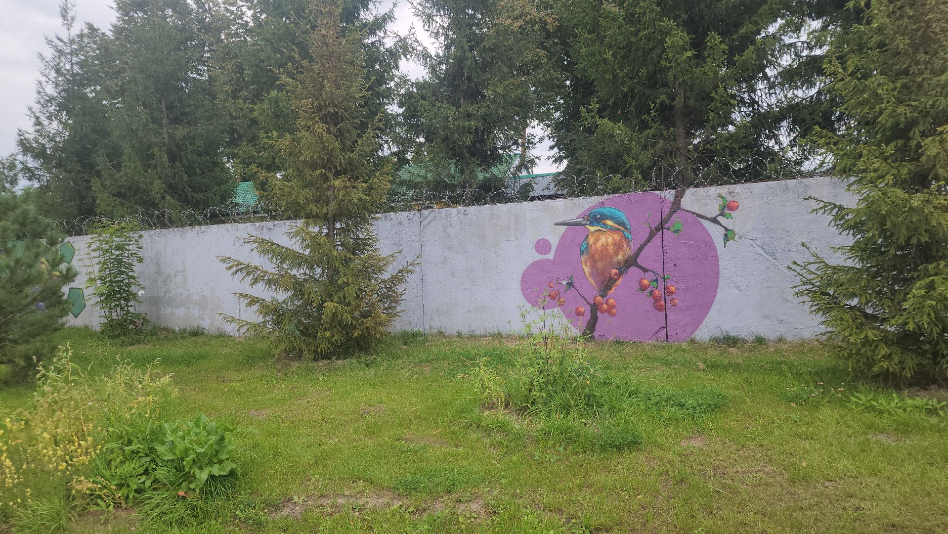 Павловский Посад, городской округ павловский посад, парк, парк Дубрава, граффити, забор, благоустройсво,