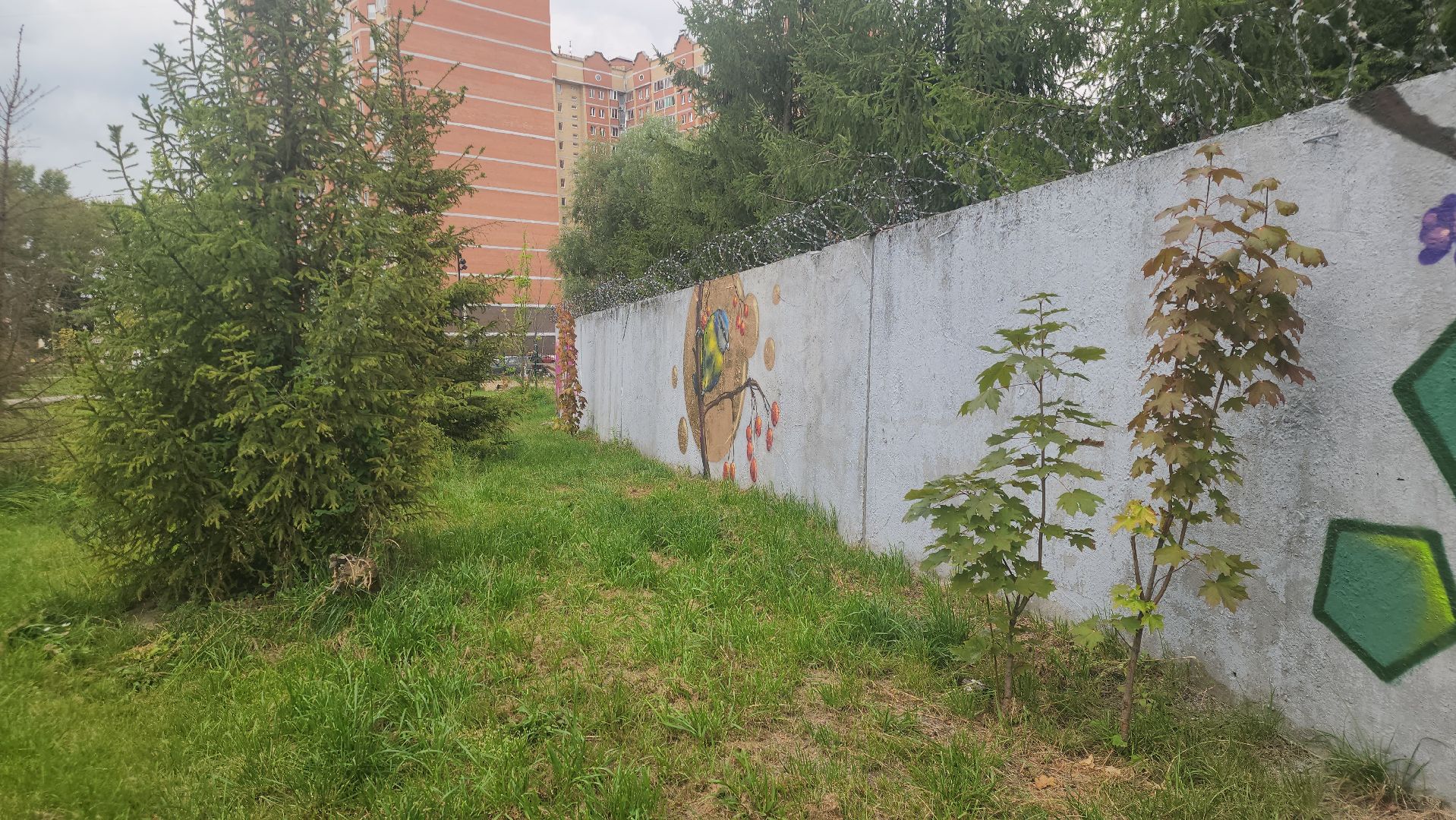 Павловский Посад, городской округ павловский посад, парк, парк Дубрава, граффити, забор, благоустройсво,