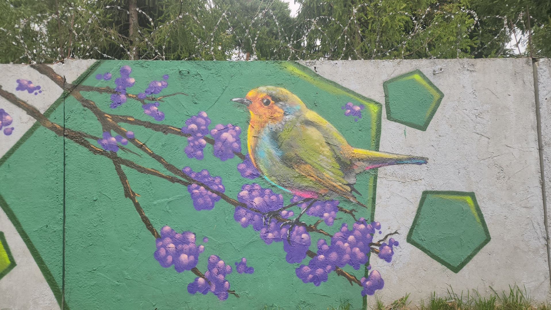 Павловский Посад, городской округ павловский посад, парк, парк Дубрава, граффити, забор, благоустройсво,