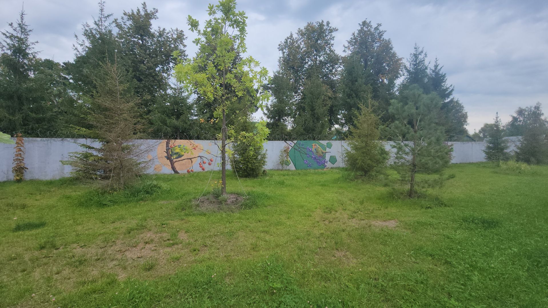 Павловский Посад, городской округ павловский посад, парк, парк Дубрава, граффити, забор, благоустройсво,