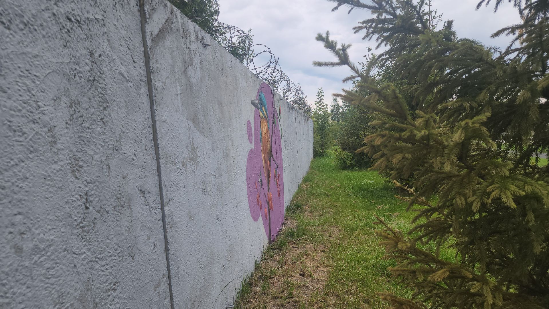 Павловский Посад, городской округ павловский посад, парк, парк Дубрава, граффити, забор, благоустройсво,