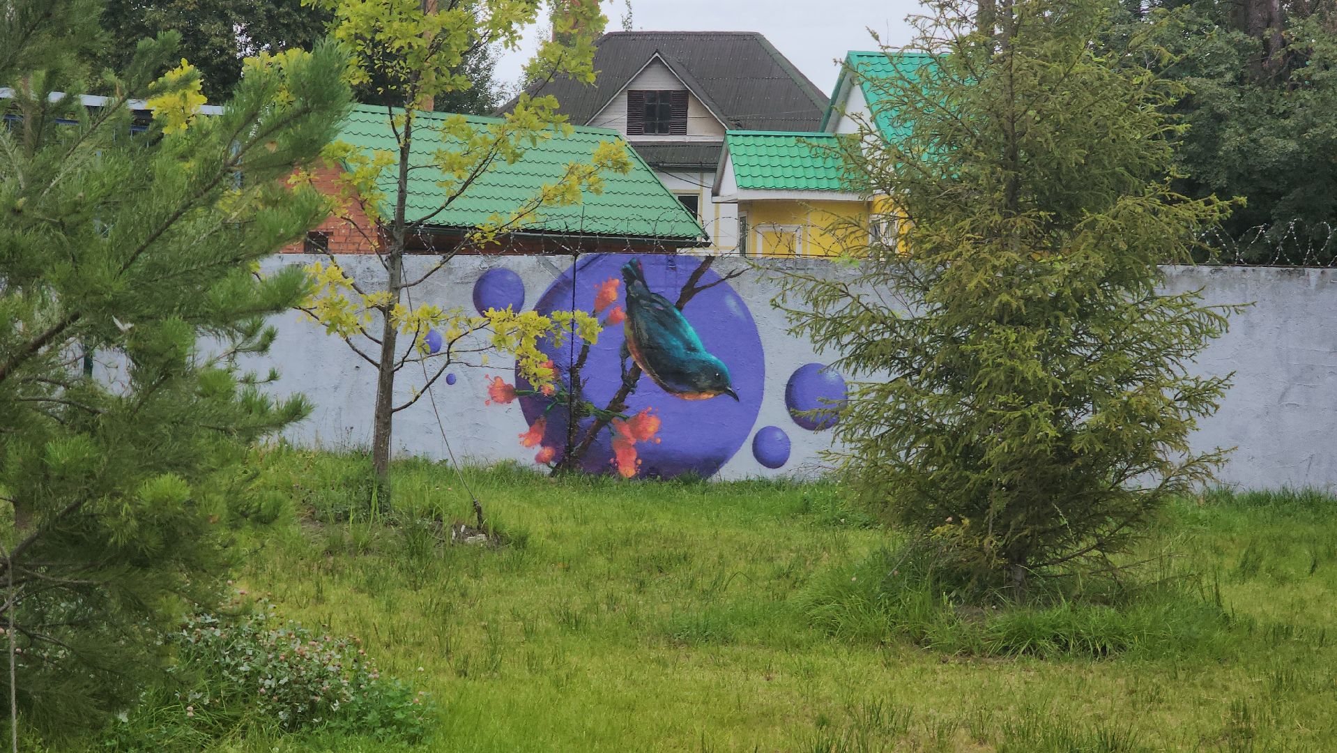 Павловский Посад, городской округ павловский посад, парк, парк Дубрава, граффити, забор, благоустройсво,