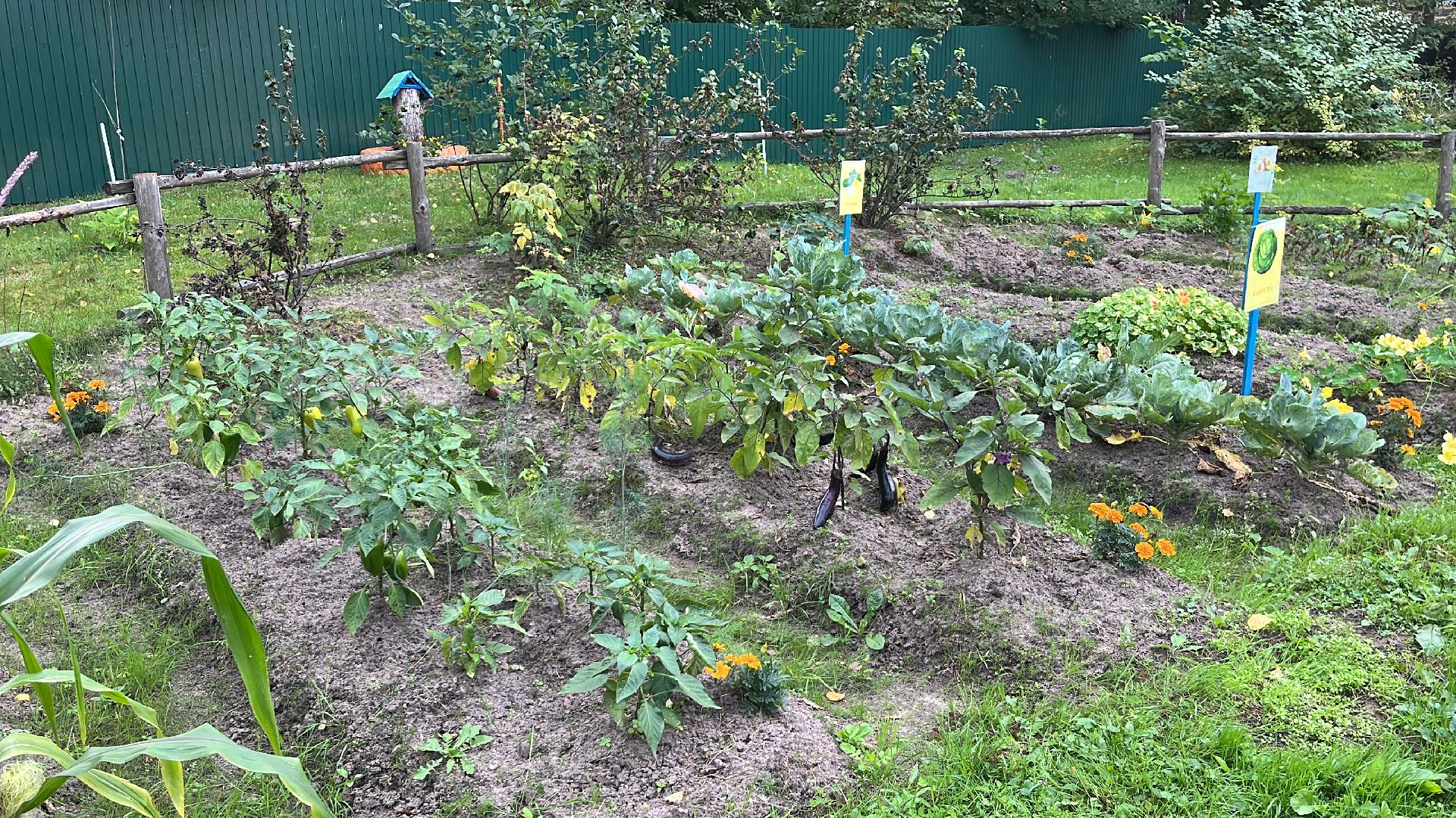 егорьевск, рязановский, рабочий, поселок, ремонт, капитальный, дети, детский сад,