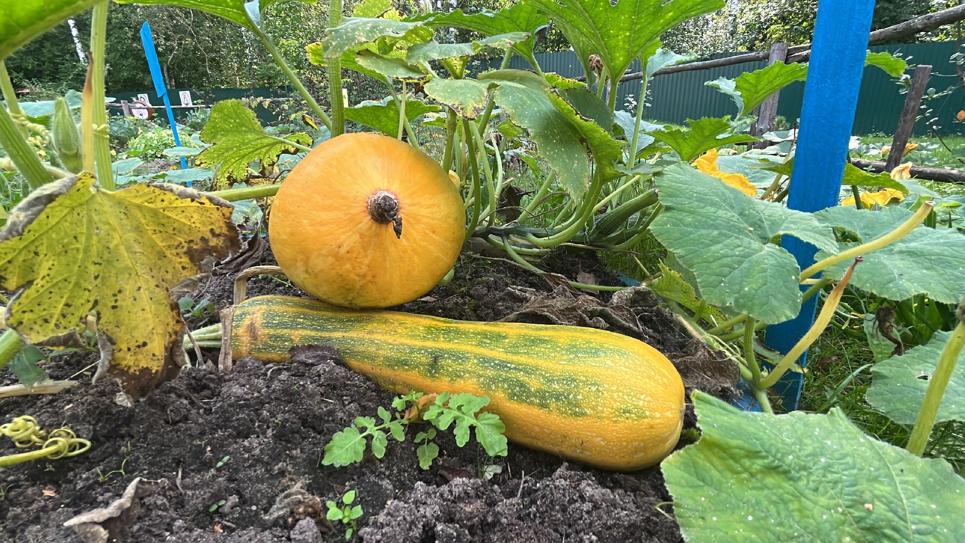 егорьевск, рязановский, рабочий, поселок, ремонт, капитальный, дети, детский сад,