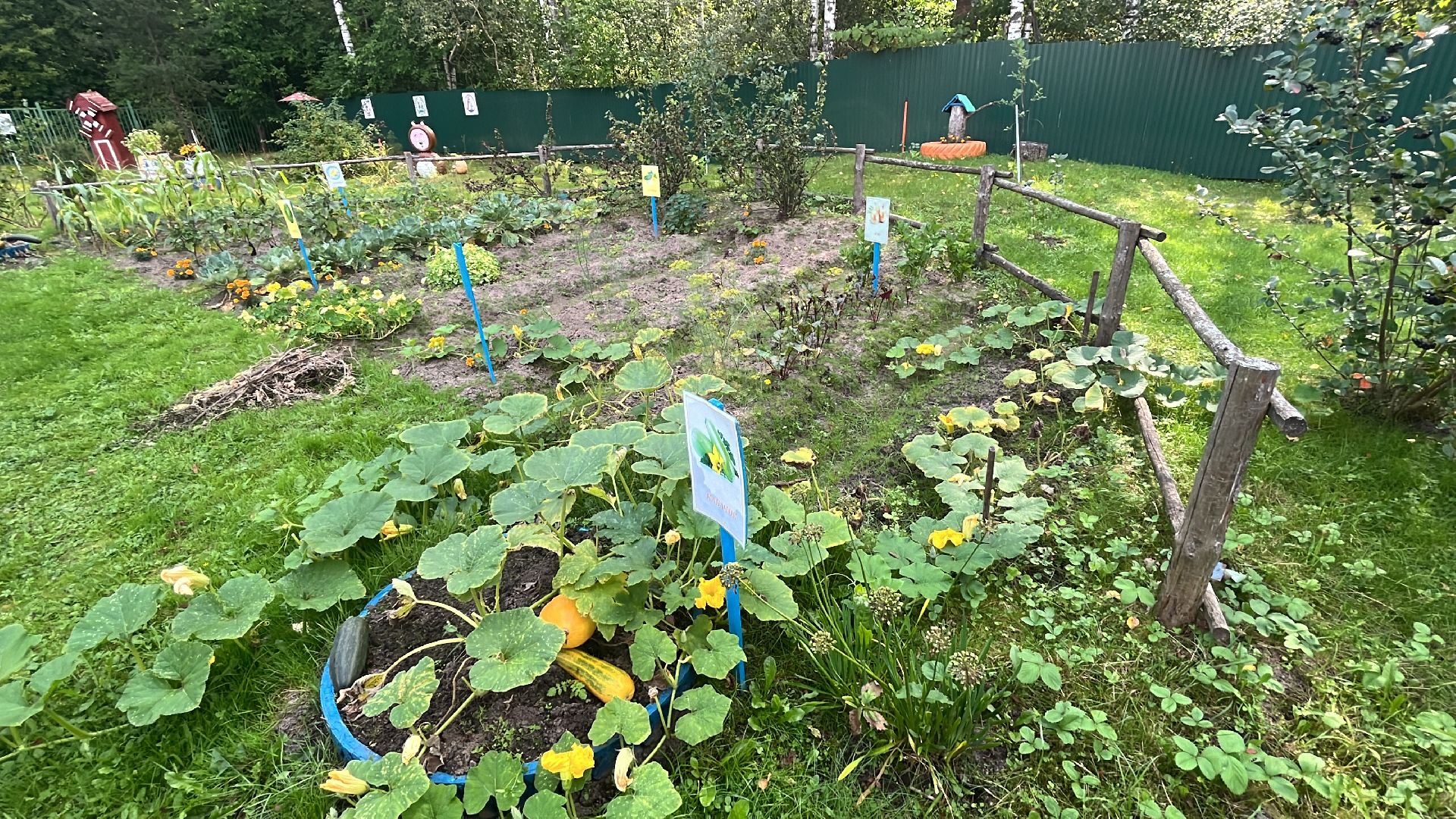 егорьевск, рязановский, рабочий, поселок, ремонт, капитальный, дети, детский сад,