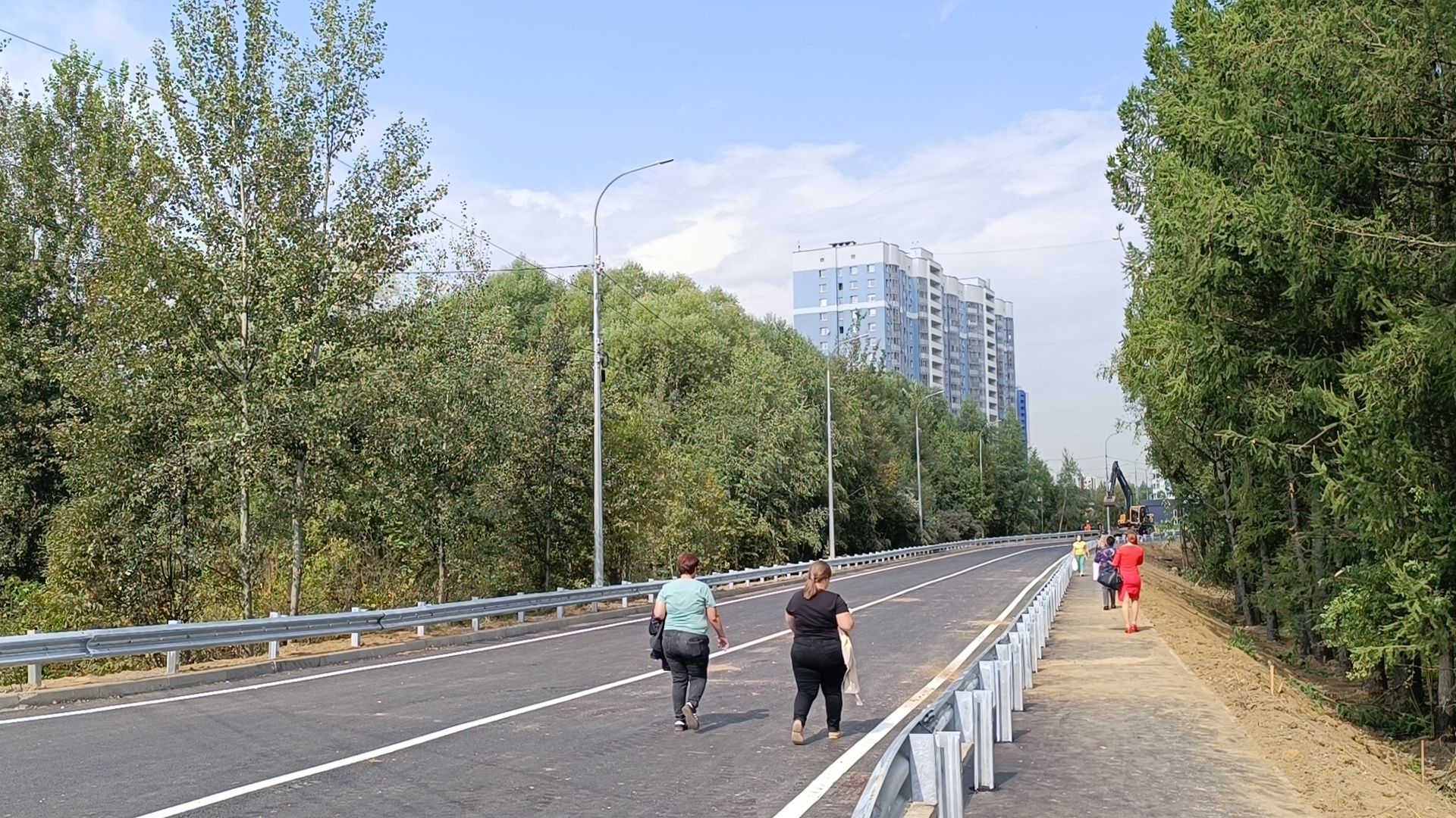 ремонт дорог, лобня, разметка дороги,