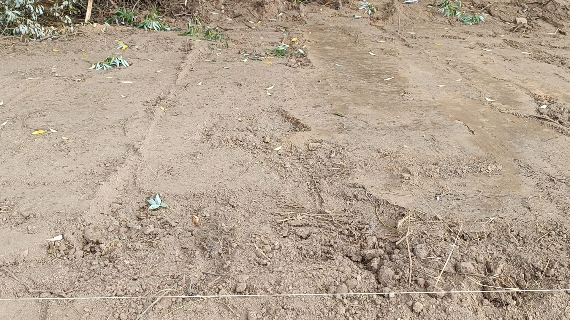 ремонт дорог, лобня, разметка дороги,