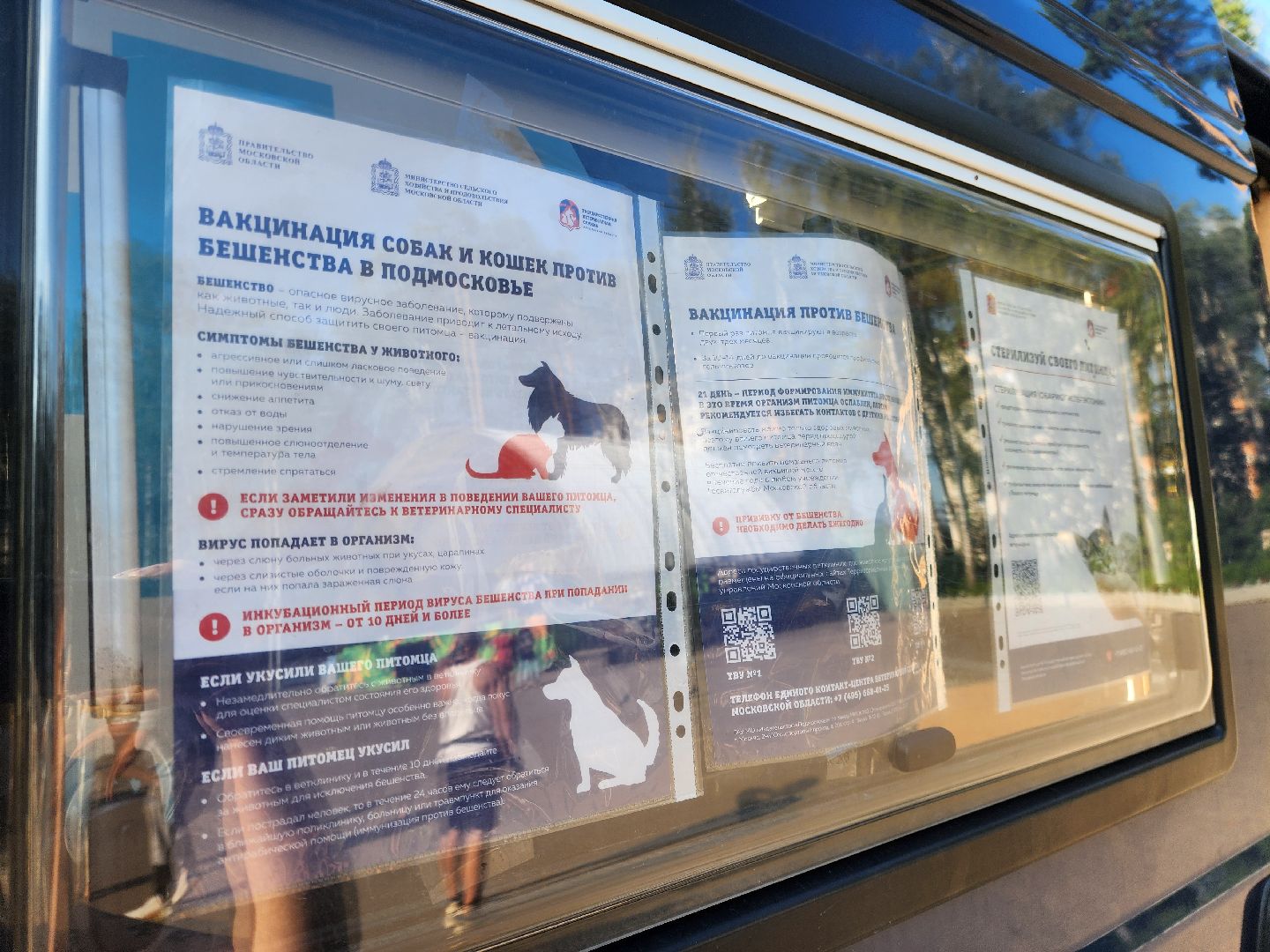 животные, жители, общество, ветеринария, мобильный пункт, чипирование домашних животных,