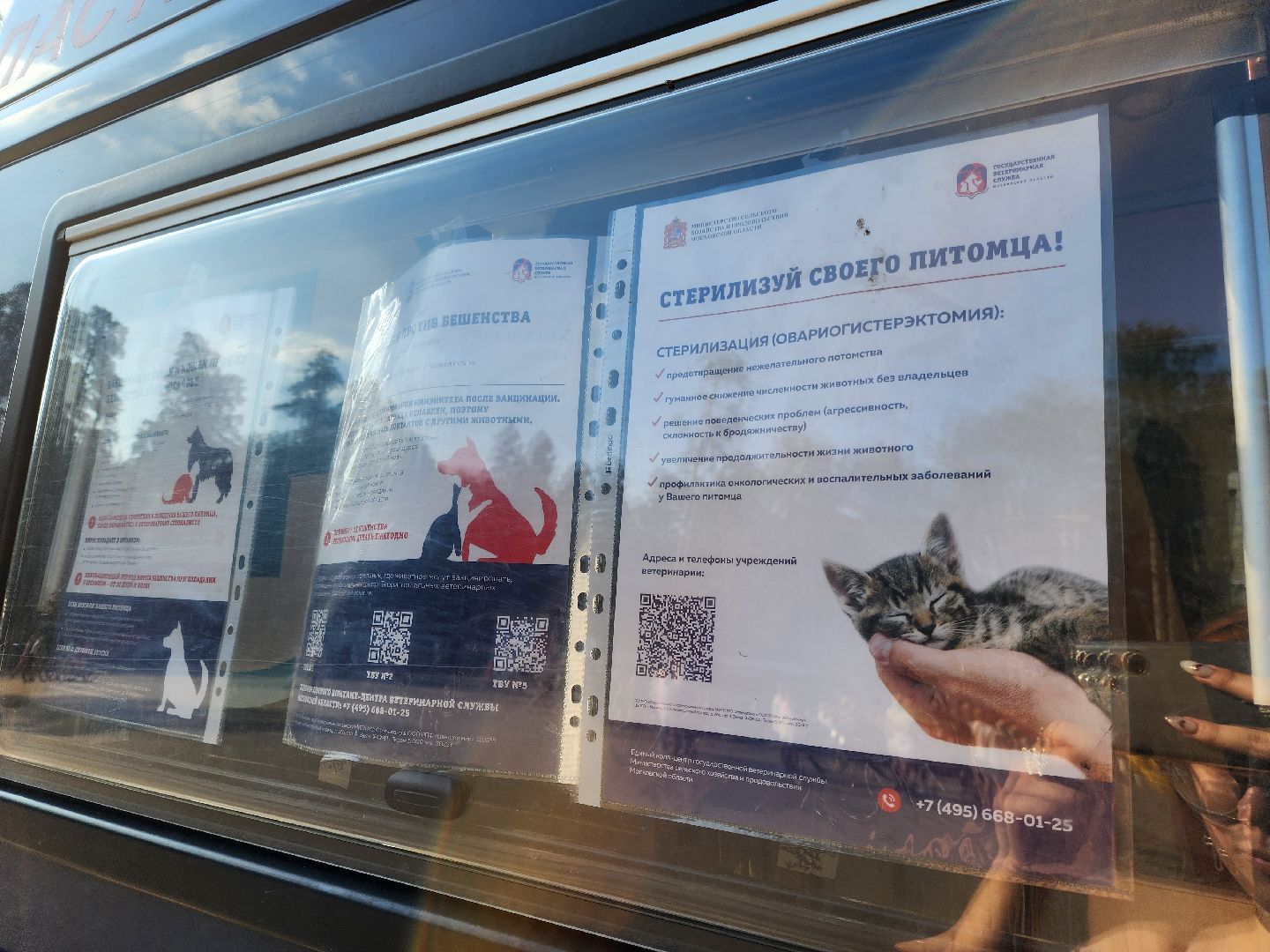 животные, жители, общество, ветеринария, мобильный пункт, чипирование домашних животных,