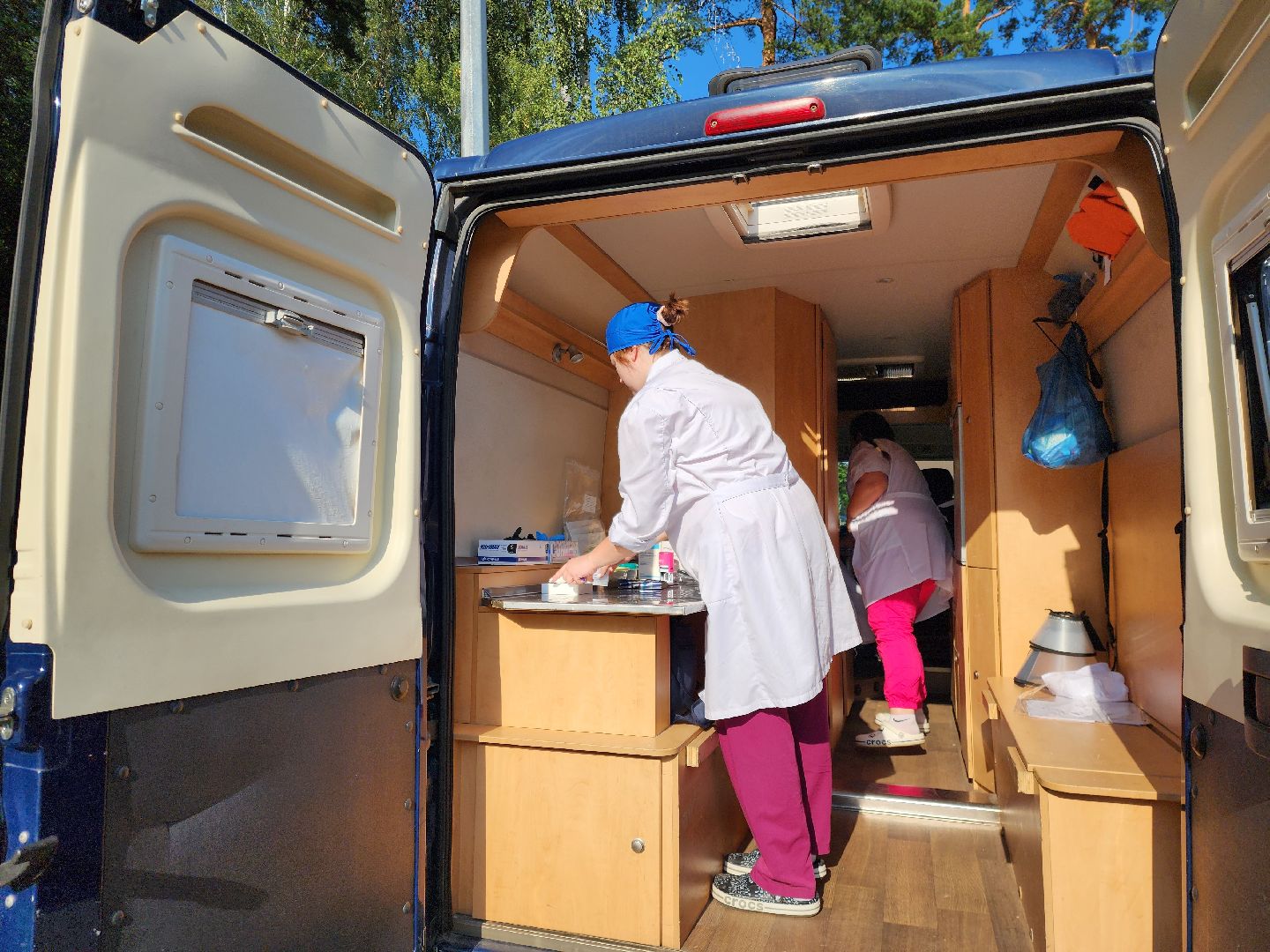 животные, жители, общество, ветеринария, мобильный пункт, чипирование домашних животных,