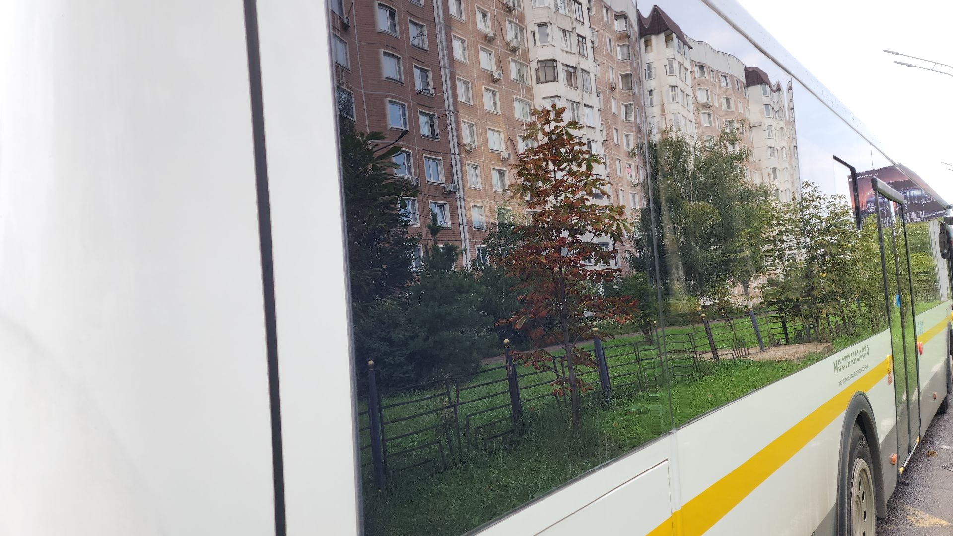 новые автобусы, транспорт, мострансавто, электросталь, мой город, жители города, общественный транспорт,