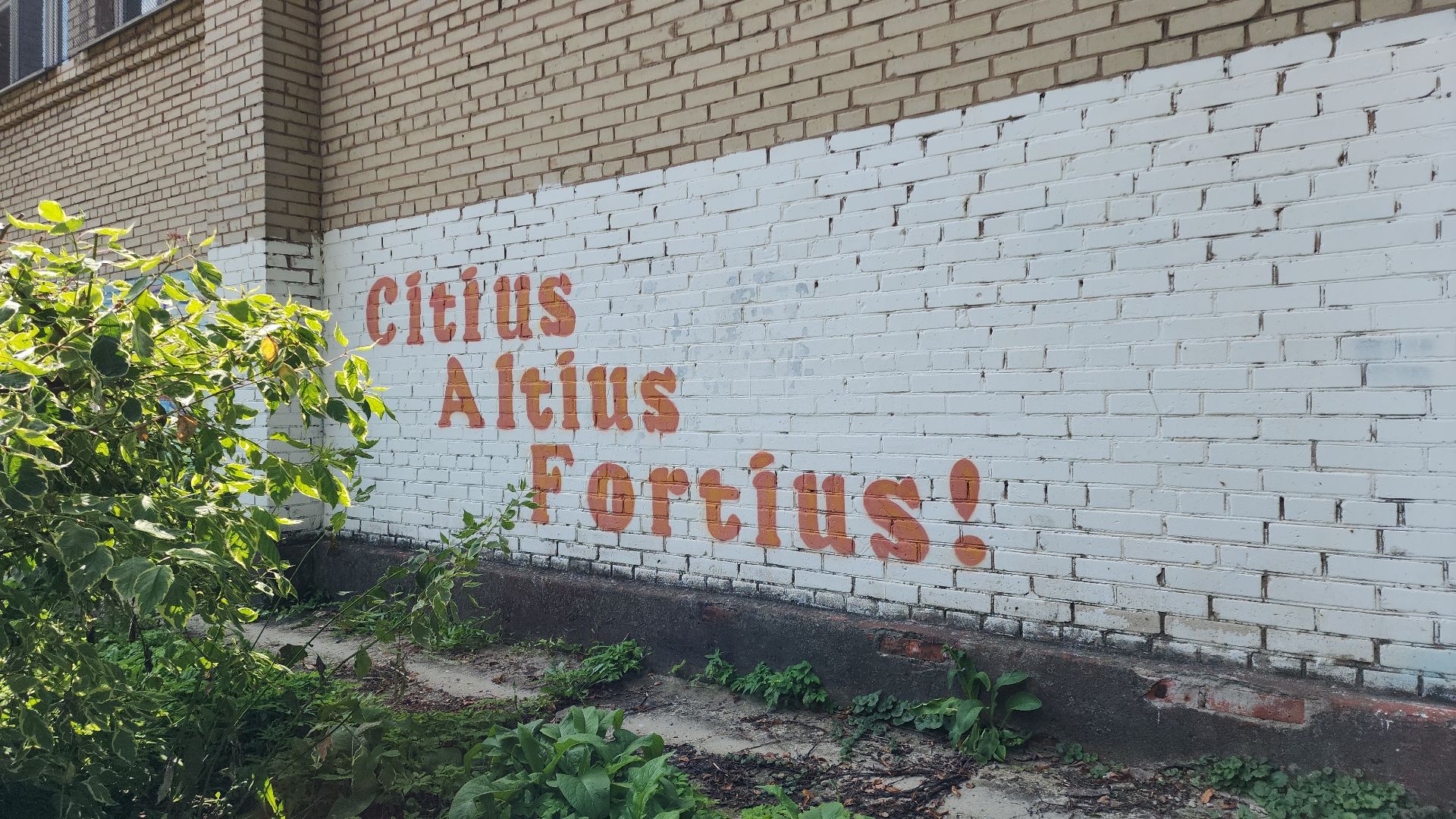 школа, школа 12, школьный стадион, открытый стадион, спорт, программа, программа губернатора, программа губернатора мо, топ 100 школ подмосковья, топ-100,