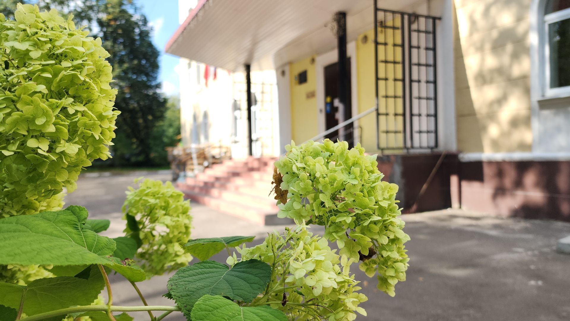 школа, школа 12, школьный стадион, открытый стадион, спорт, программа, программа губернатора, программа губернатора мо, топ 100 школ подмосковья, топ-100,