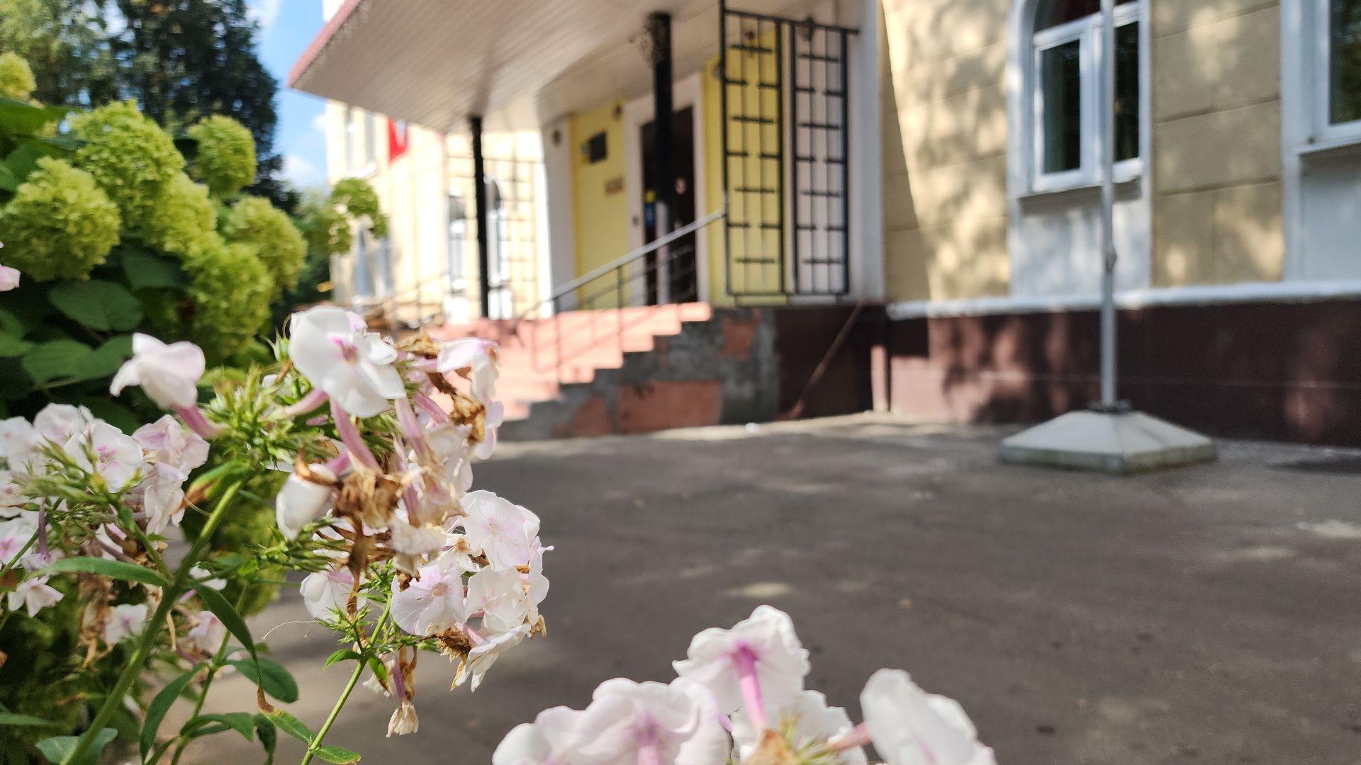 школа, школа 12, школьный стадион, открытый стадион, спорт, программа, программа губернатора, программа губернатора мо, топ 100 школ подмосковья, топ-100,