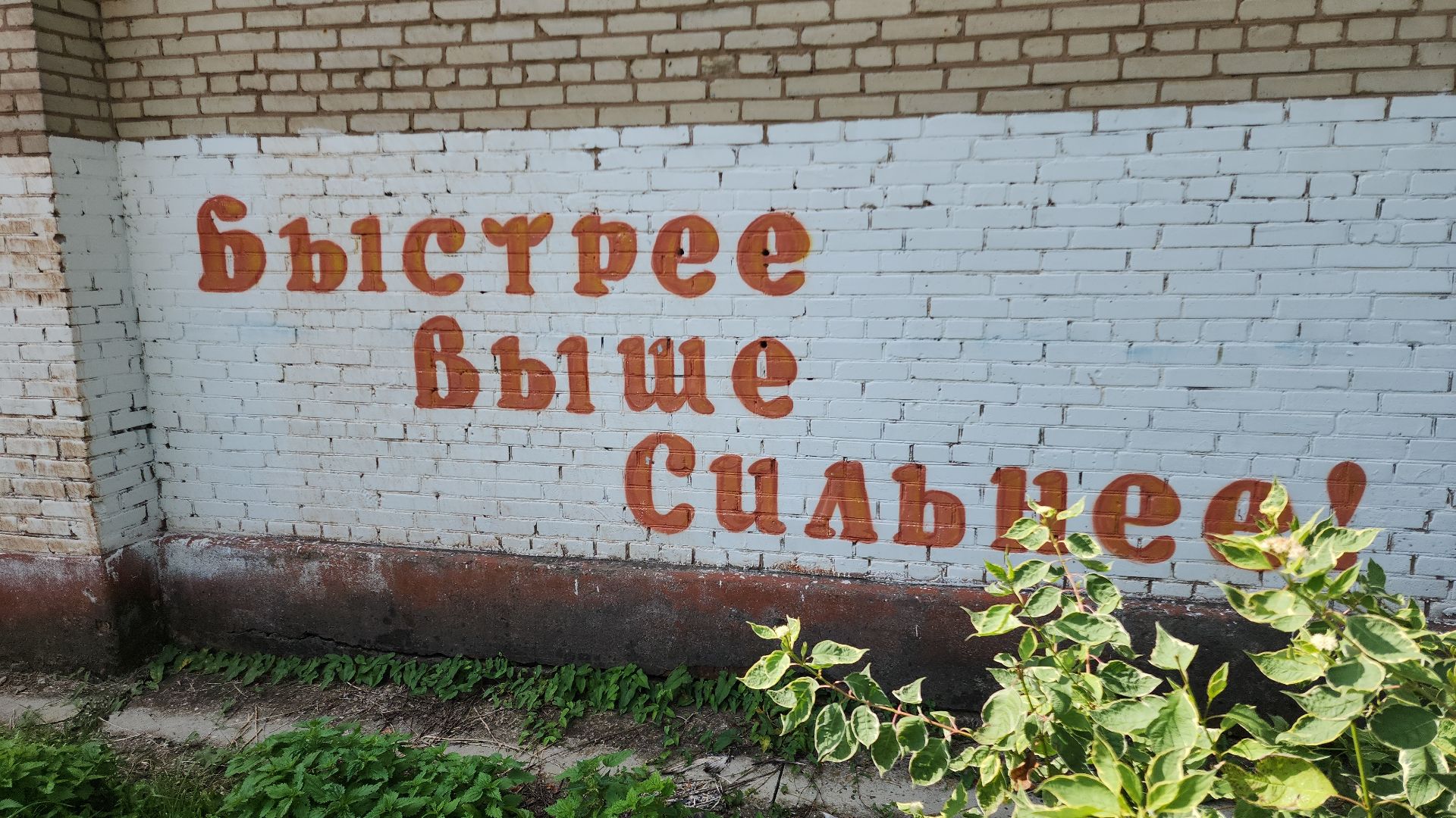 школа, школа 12, школьный стадион, открытый стадион, спорт, программа, программа губернатора, программа губернатора мо, топ 100 школ подмосковья, топ-100,