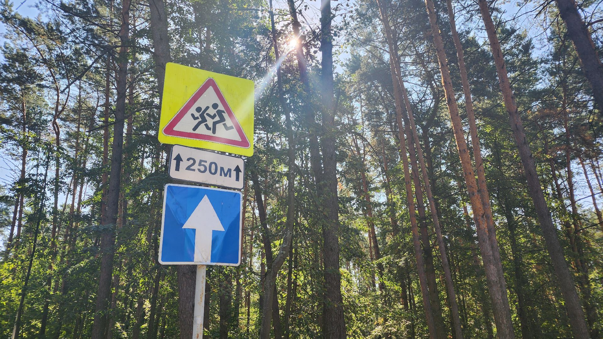 лицей, безопасность детей, протвино, ограждающие элементы, комбинат благоустройства,