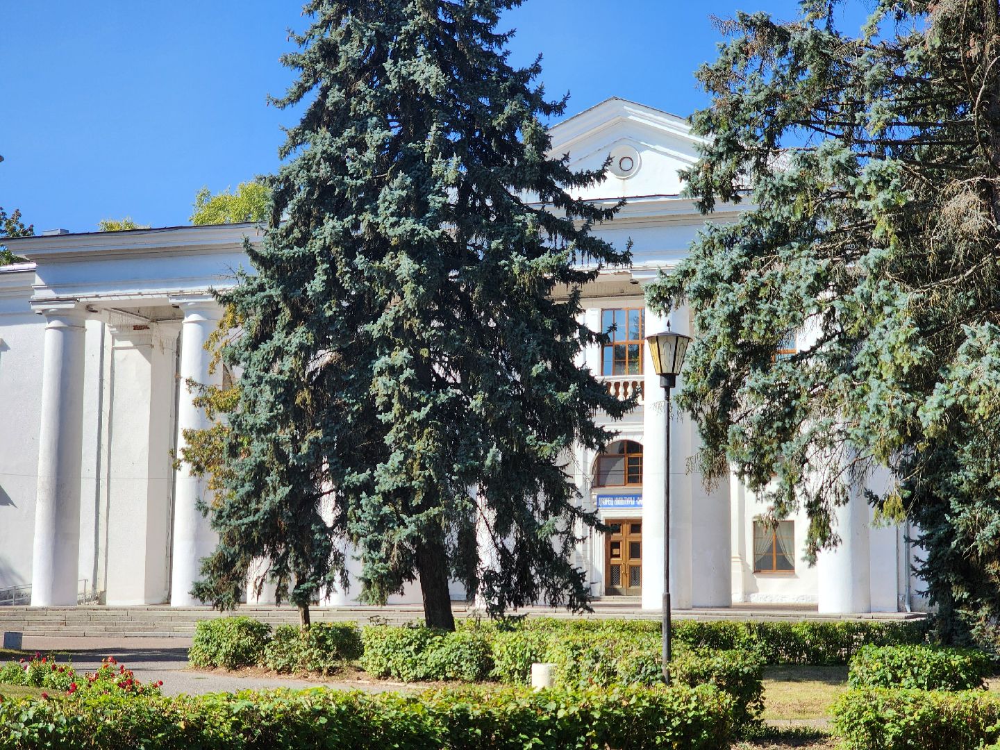 воскресенск, выборы депутатов, выборы,