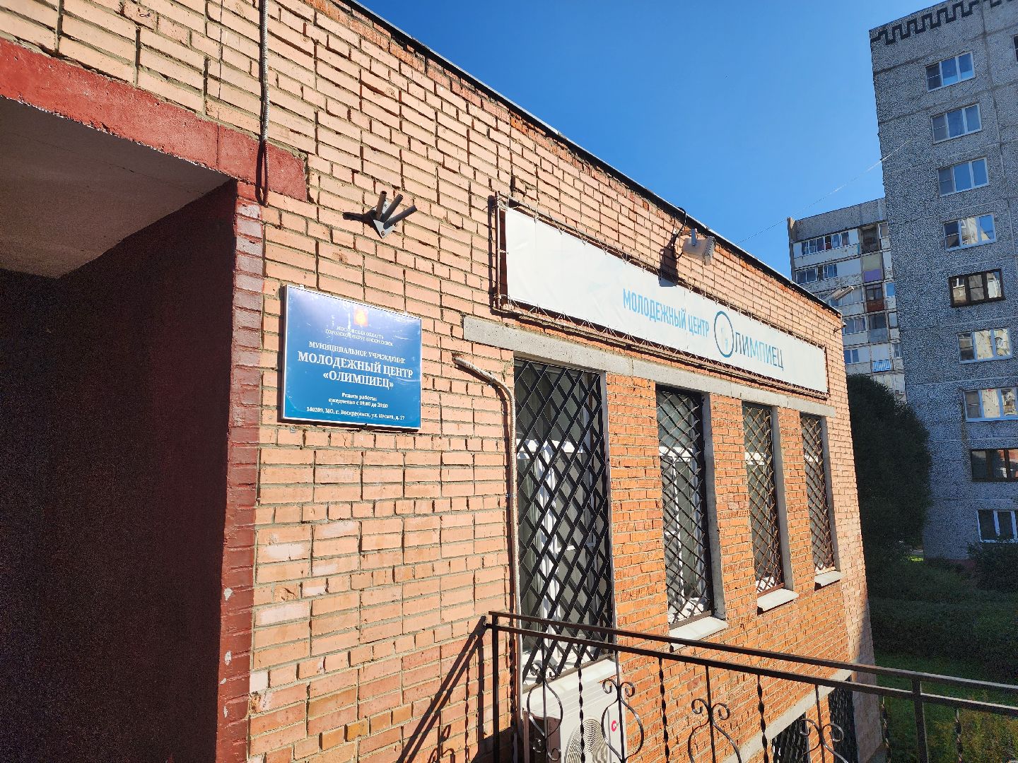 воскресенск, выборы депутатов, выборы,