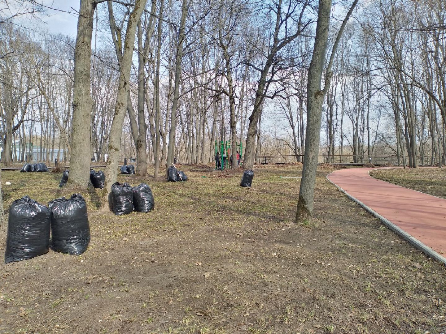 благоустройство, парк, Лосино-Петровский