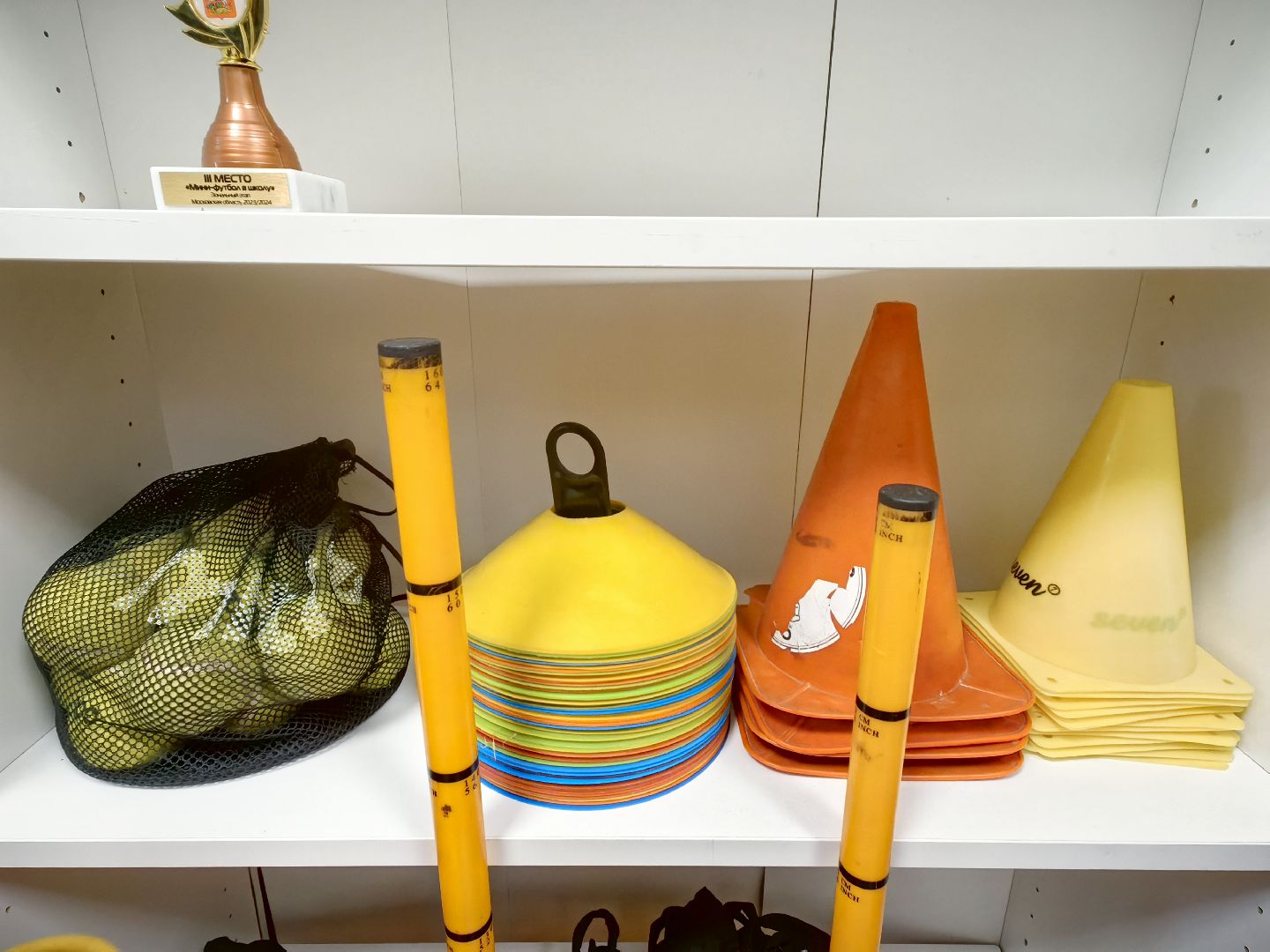 конкурс, учитель подмосковья -2024, премия губернатора, учитель физкультуры, волейбол, футбол,