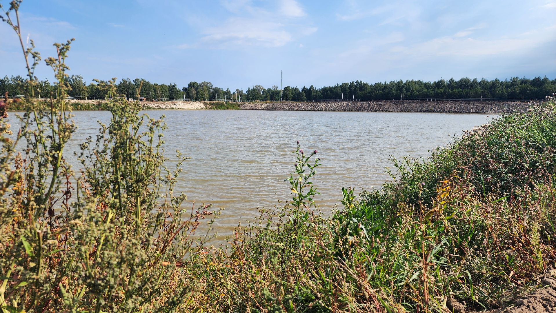 Шатура, Долгуша, рыбоводческое хозяйство, КФХ,