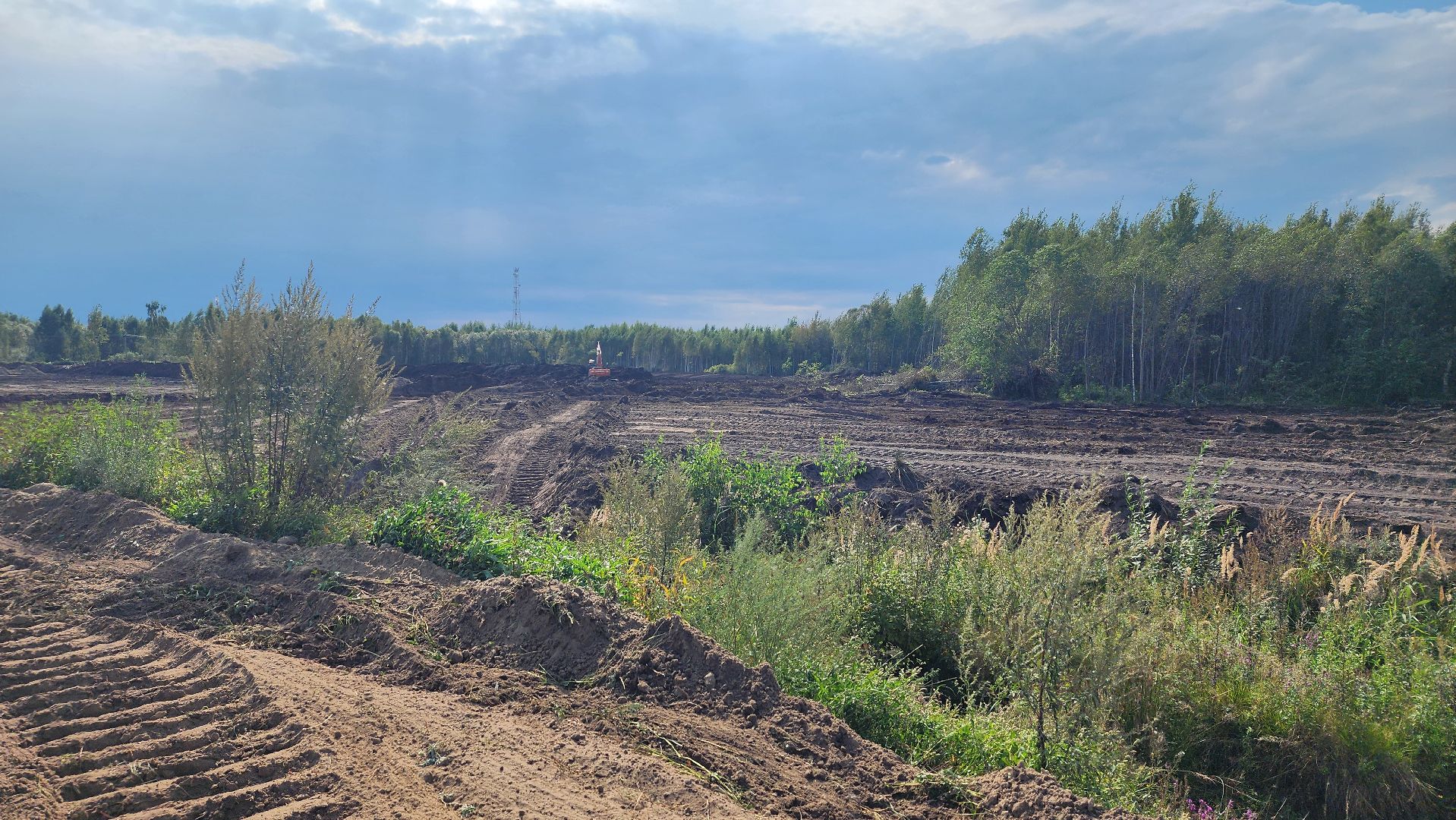 Шатура, Долгуша, рыбоводческое хозяйство, КФХ,