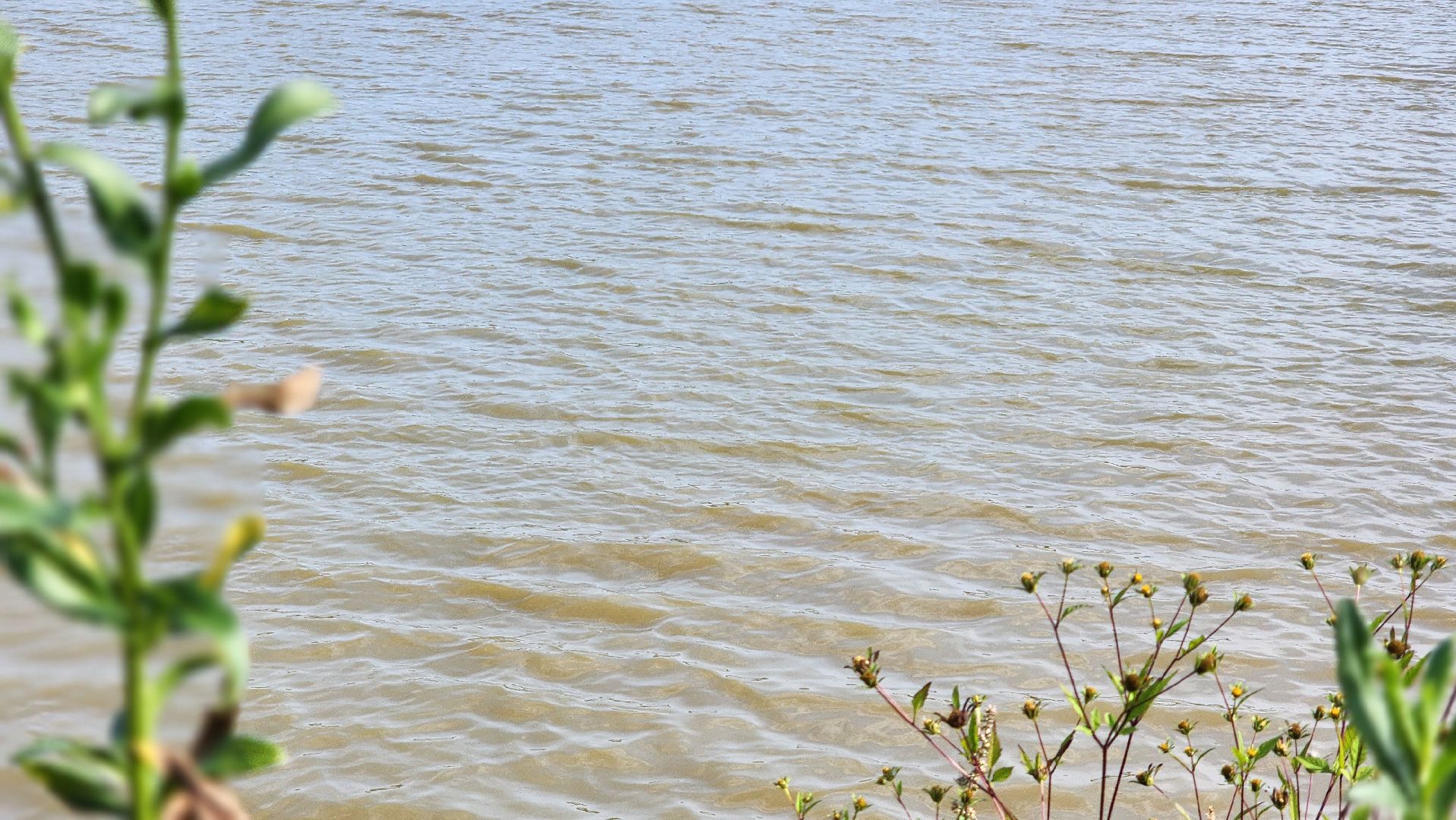 Шатура, Долгуша, рыбоводческое хозяйство, КФХ,