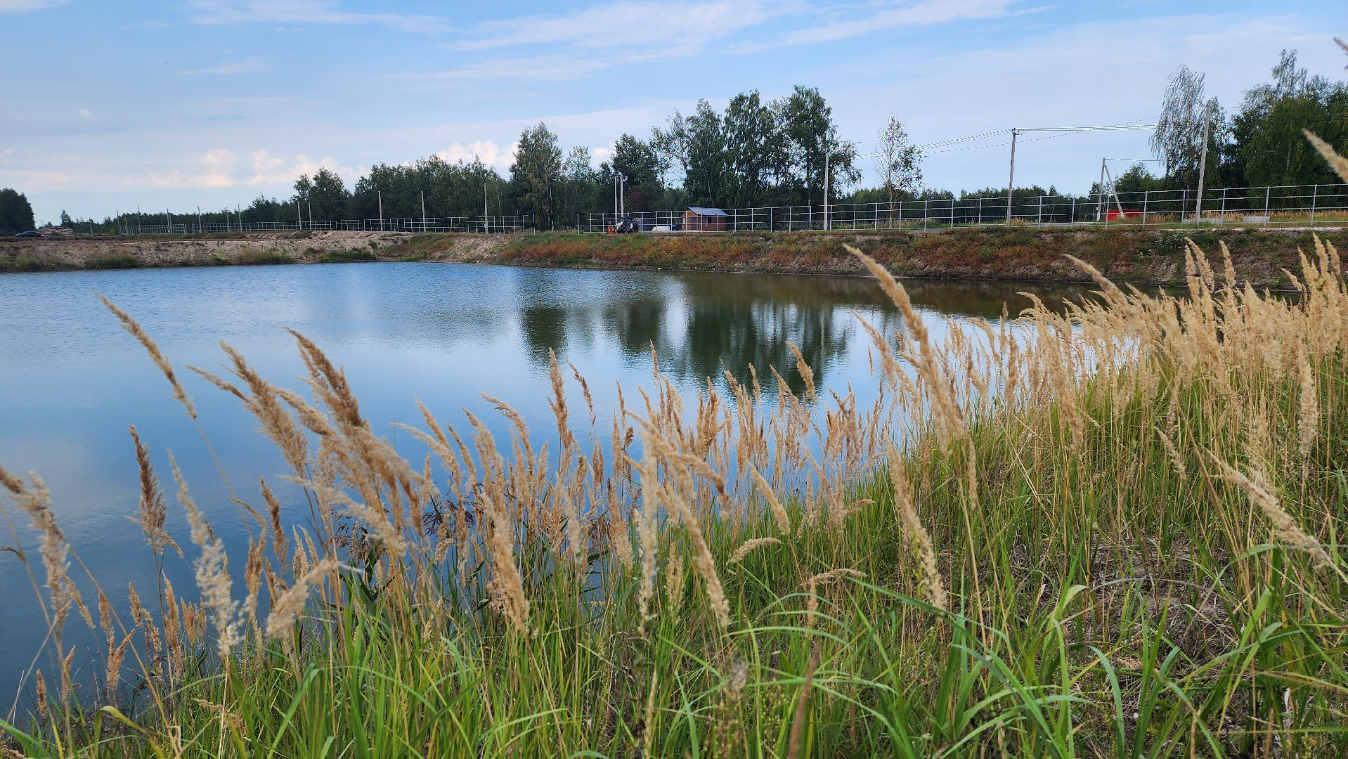 Шатура, Долгуша, рыбоводческое хозяйство, КФХ,