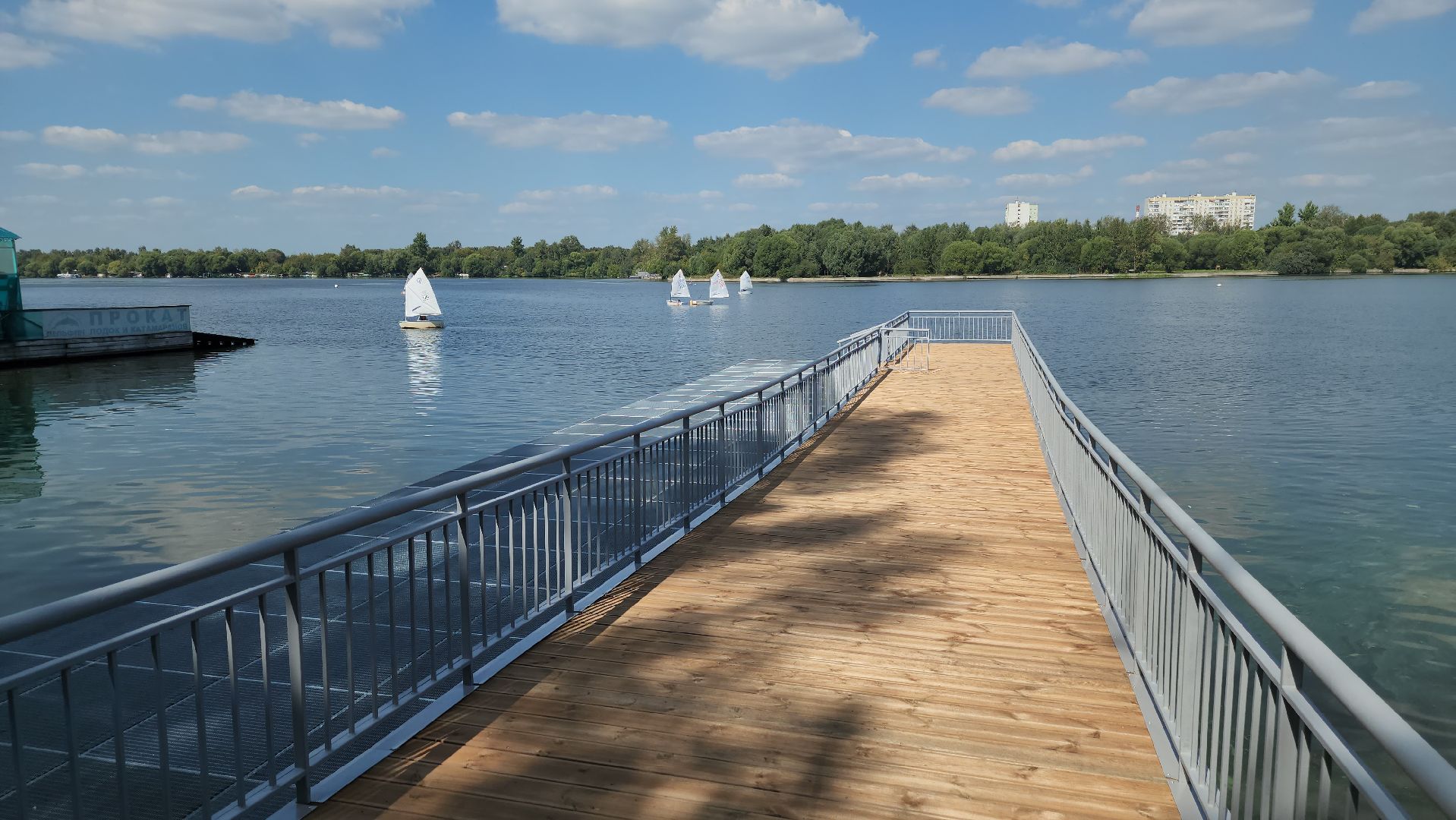 долгопрудный, котовский залив, водная сцена,котовские моржи, набережная,