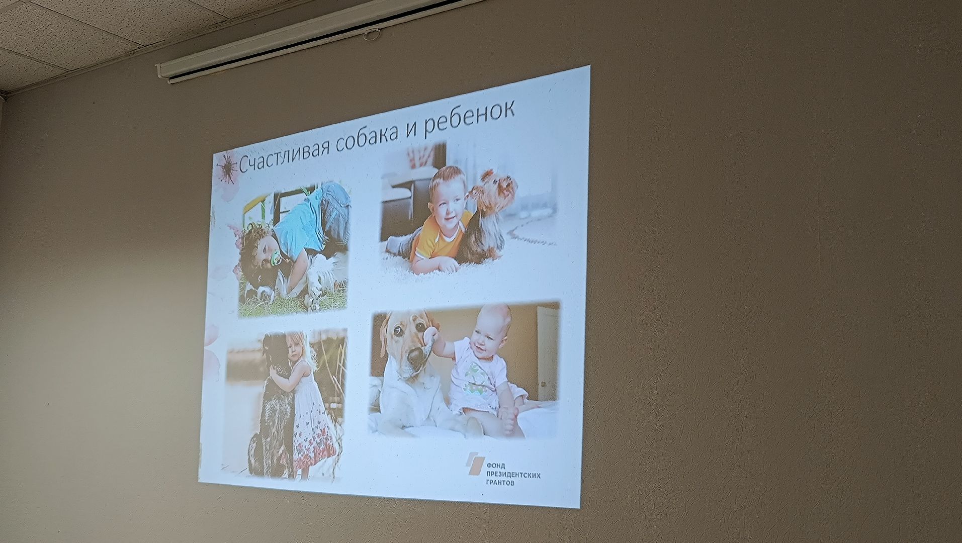 собака, лекция, библиотека,