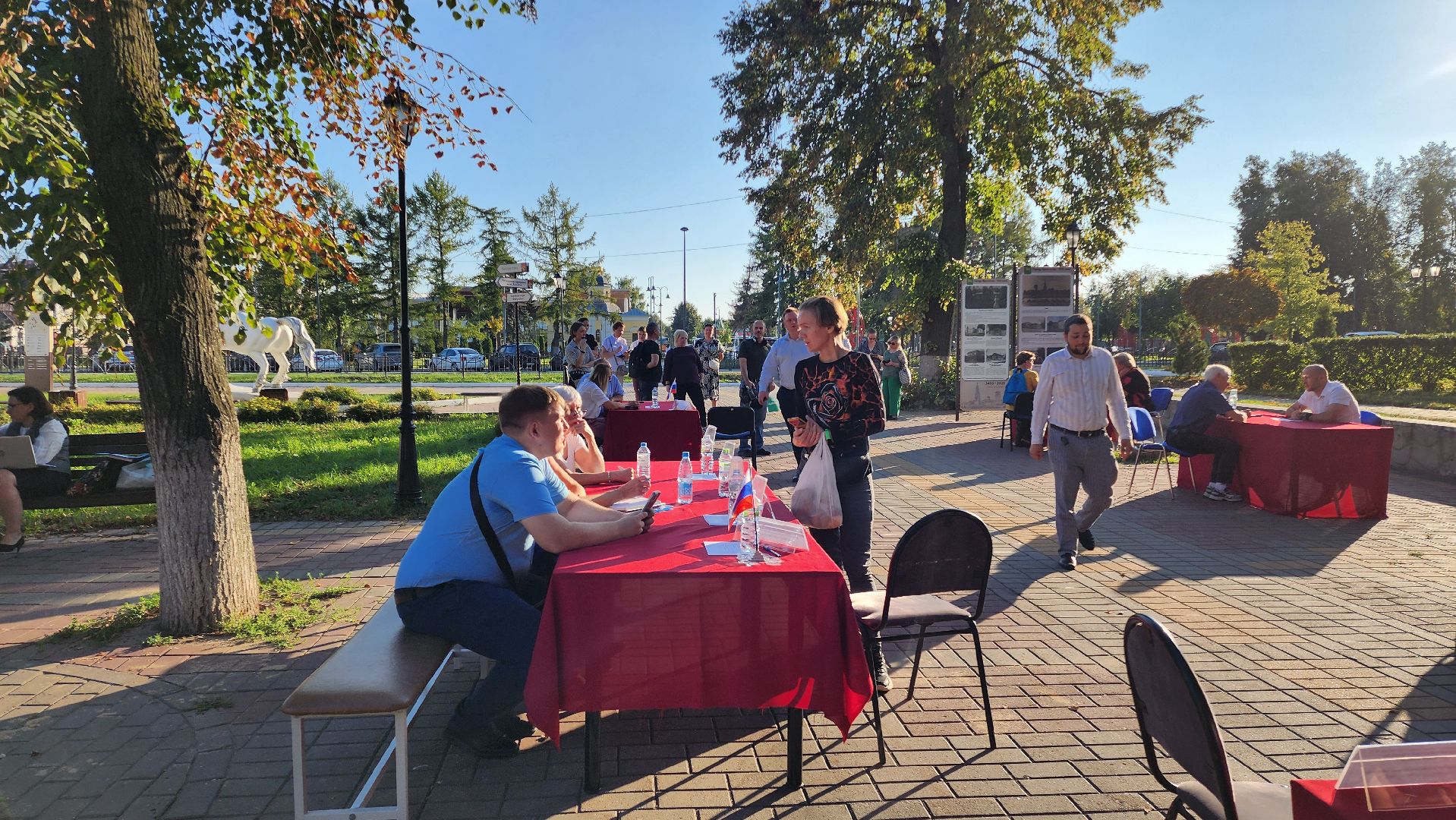 Бронницы, выездная администрация, вопросы к администрации, Вопросы населения, Светофоры в Бронницах, Обращения жителей,