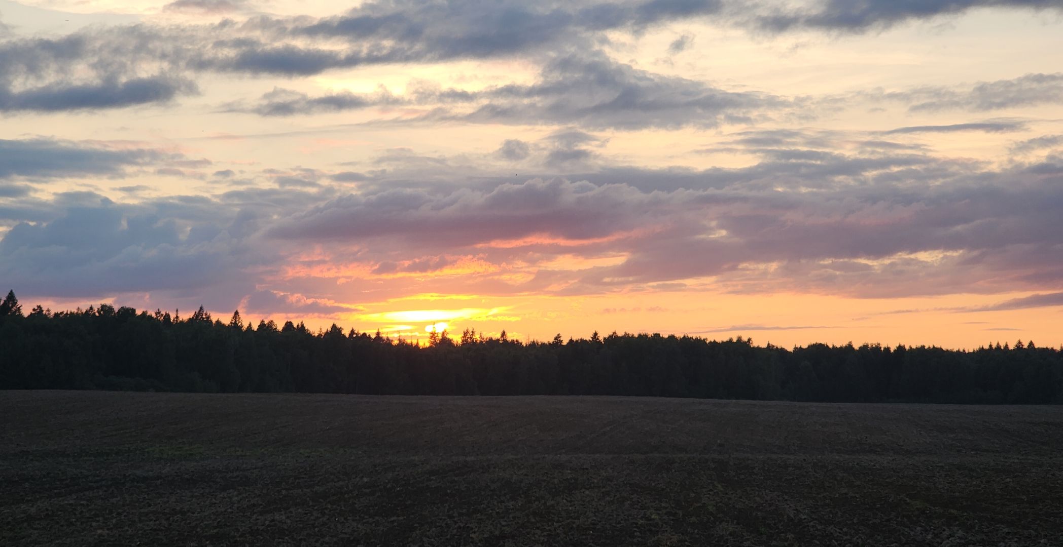 Звенигород, Люберцы, СВО, Поддержка участников СВО,