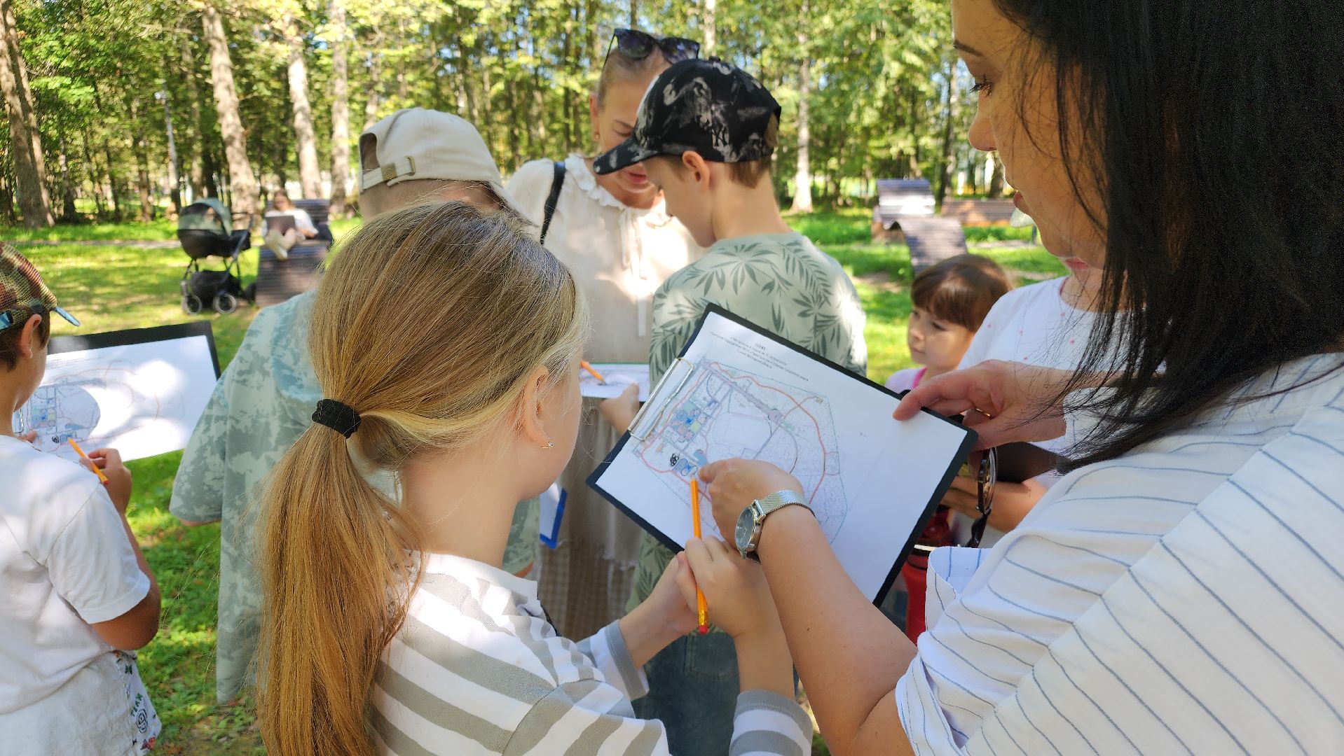 ступино, лето в подмосковье, образование,